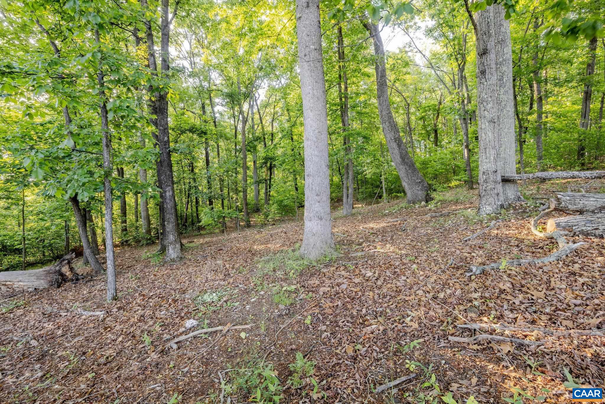 Much of the 22 acres is in mature hardwoods, ensuring total privacy.