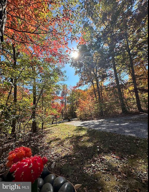 432 CARDINAL DR, LURAY, Virginia 22835, 2 Bedrooms Bedrooms, ,1 BathroomBathrooms,Residential,432 CARDINAL DR,VAPA2006480 MLS # VAPA2006480 432 CARDINAL DR, LURAY, Virginia 22835, 2 Bedrooms Bedrooms, ,1 BathroomBathrooms,Residential,432 CARDINAL DR,VAPA2006480 MLS # VAPA2006480