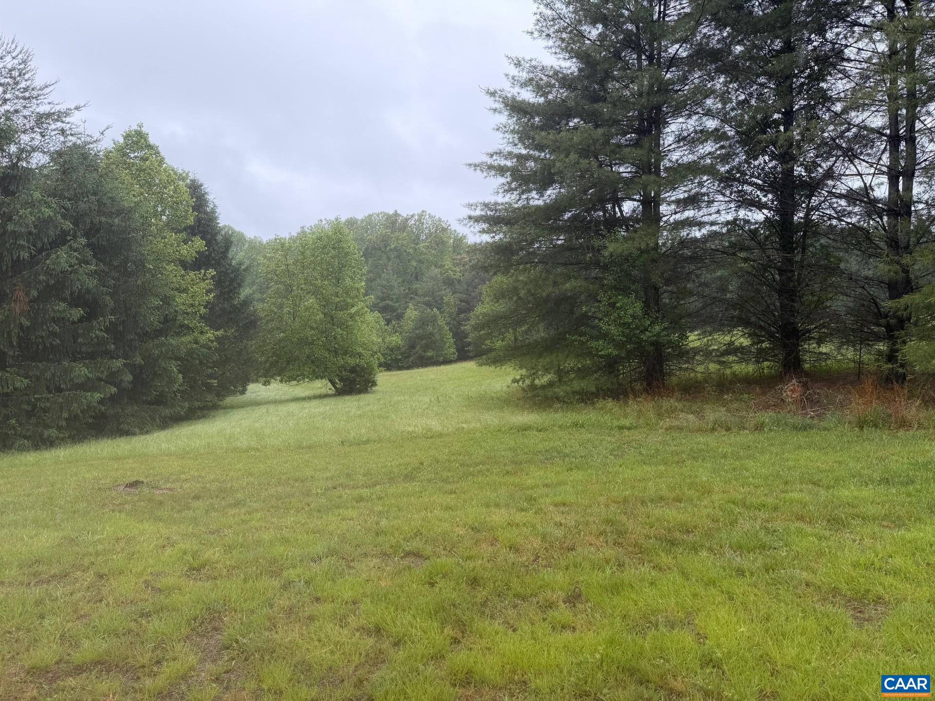 TBD MISTY RIDGES LN, EARLYSVILLE, Virginia 22936, ,Land,TBD MISTY RIDGES LN,677558 MLS # 677558