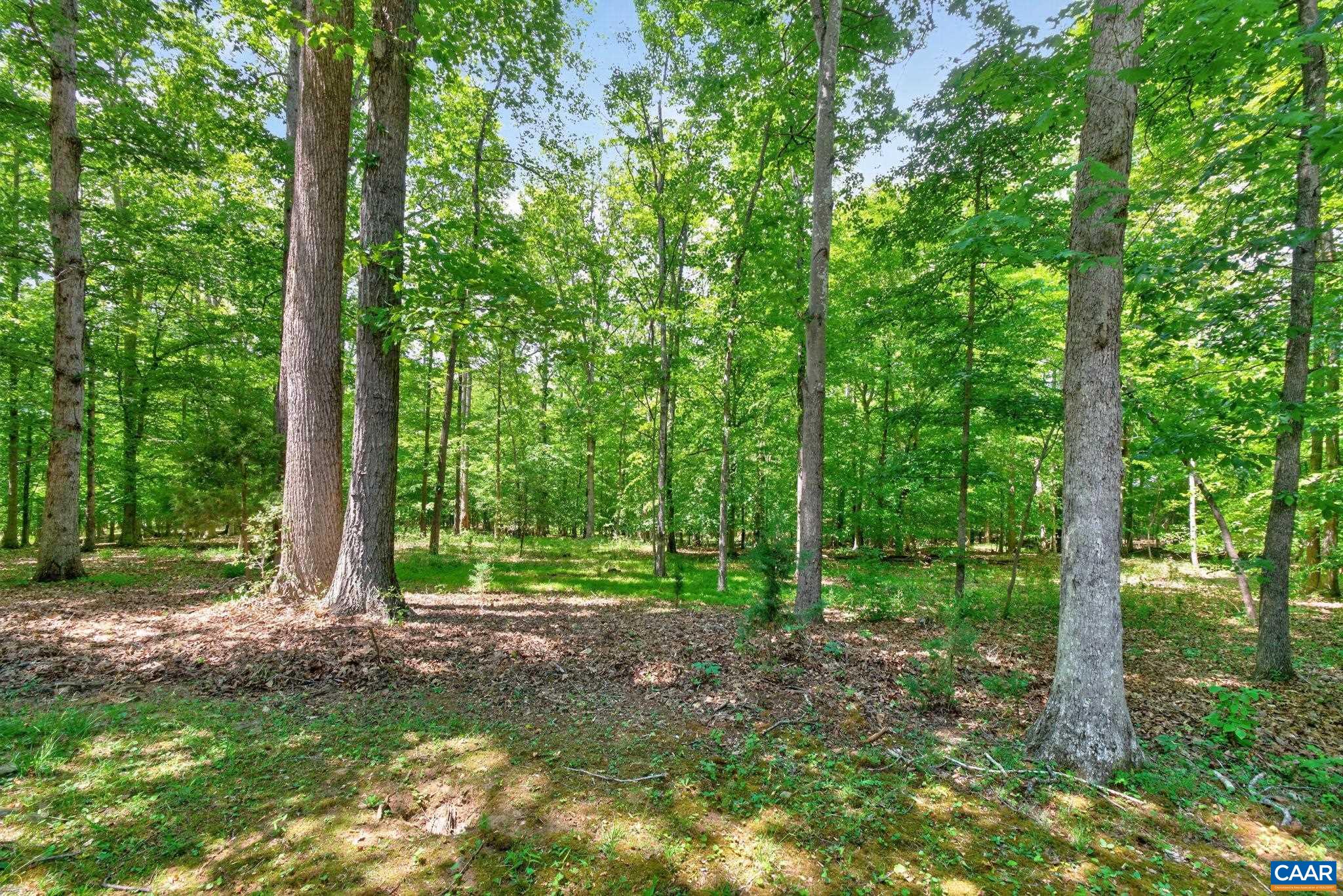 3288 WOODED ACRES LN, CHARLOTTESVILLE, Virginia 22911, 3 Bedrooms Bedrooms, ,3 BathroomsBathrooms,Residential,Wooded Acres,3288 WOODED ACRES LN,677569 MLS # 677569 3288 WOODED ACRES LN, CHARLOTTESVILLE, Virginia 22911, 3 Bedrooms Bedrooms, ,3 BathroomsBathrooms,Residential,Wooded Acres,3288 WOODED ACRES LN,677569 MLS # 677569