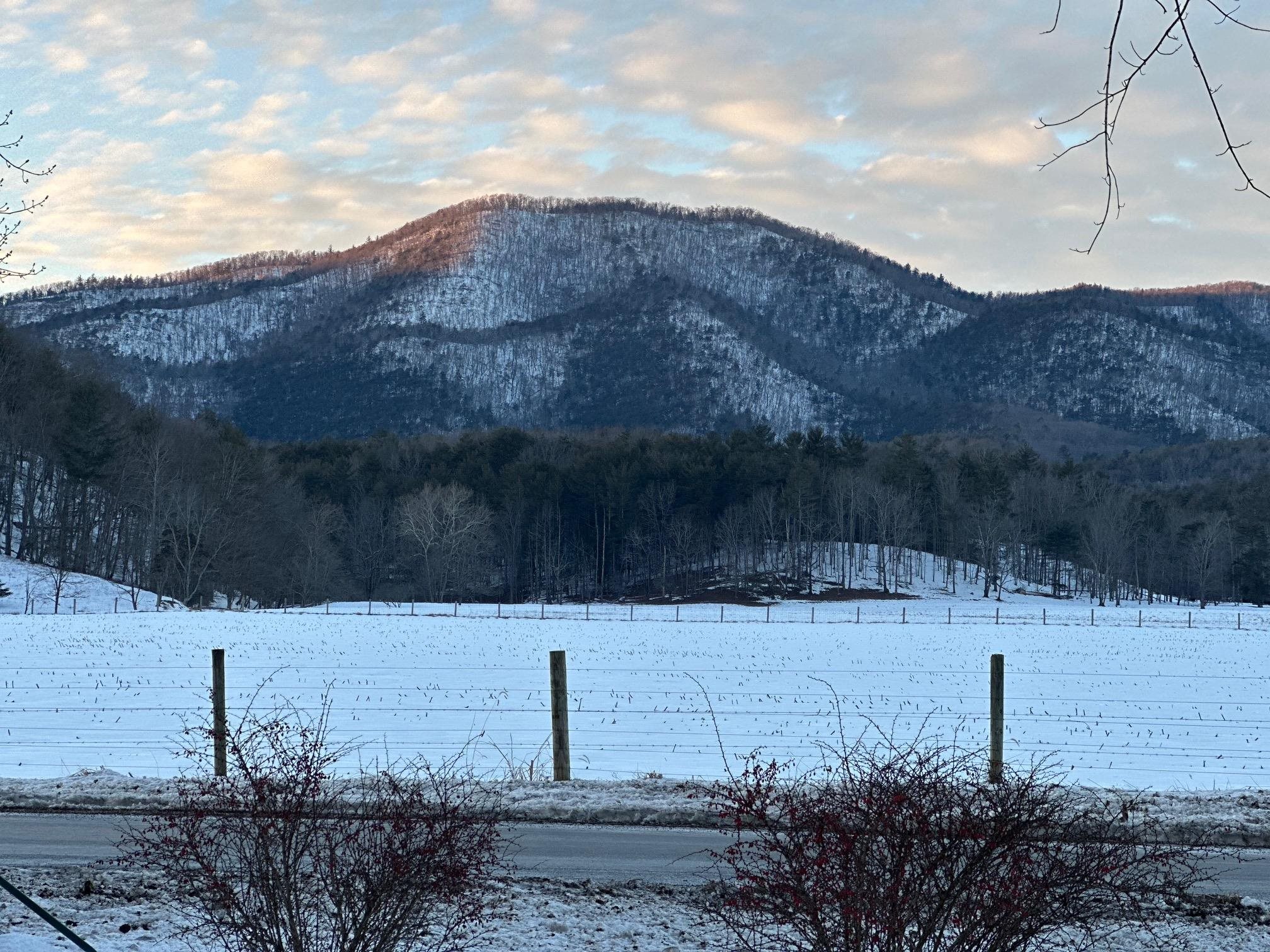 3292 DEERFIELD VALLEY RD, DEERFIELD, Virginia 24432, 3 Bedrooms Bedrooms, ,1 BathroomBathrooms,Residential,3292 DEERFIELD VALLEY RD,677570 MLS # 677570