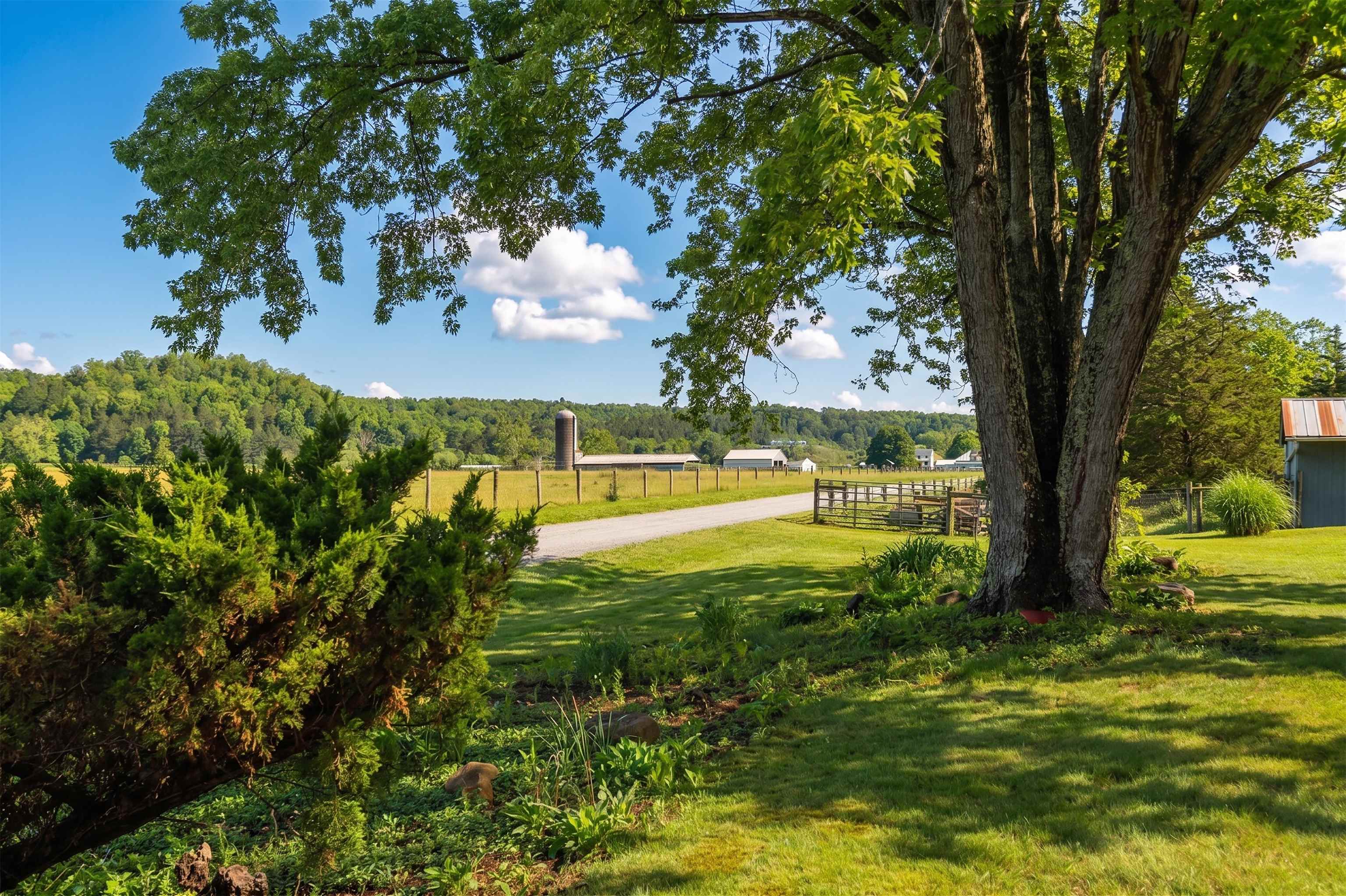 3292 DEERFIELD VALLEY RD, DEERFIELD, Virginia 24432, 3 Bedrooms Bedrooms, ,1 BathroomBathrooms,Residential,3292 DEERFIELD VALLEY RD,677570 MLS # 677570