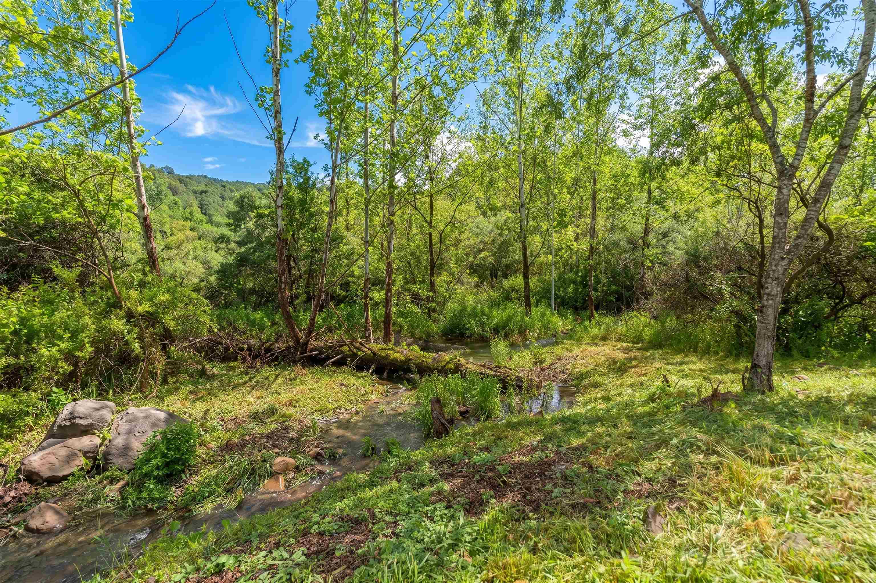 3292 DEERFIELD VALLEY RD, DEERFIELD, Virginia 24432, 3 Bedrooms Bedrooms, ,1 BathroomBathrooms,Residential,3292 DEERFIELD VALLEY RD,677570 MLS # 677570