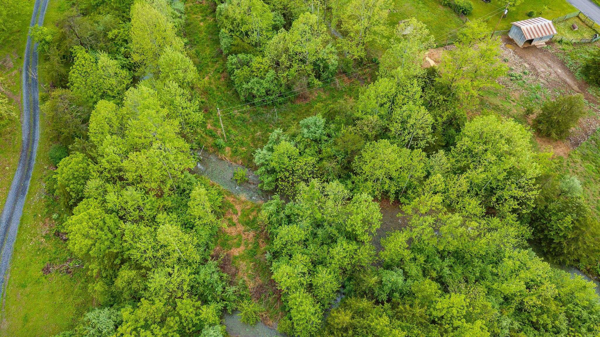3292 DEERFIELD VALLEY RD, DEERFIELD, Virginia 24432, 3 Bedrooms Bedrooms, ,1 BathroomBathrooms,Residential,3292 DEERFIELD VALLEY RD,677570 MLS # 677570