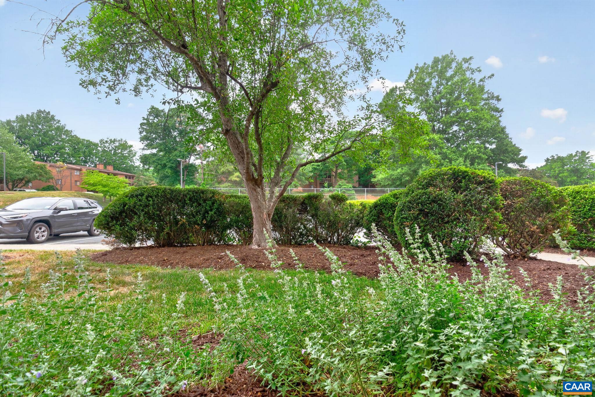 114 TURTLE CREEK RD, CHARLOTTESVILLE, Virginia 22901, 2 Bedrooms Bedrooms, ,2 BathroomsBathrooms,Residential,114 TURTLE CREEK RD,677578 MLS # 677578