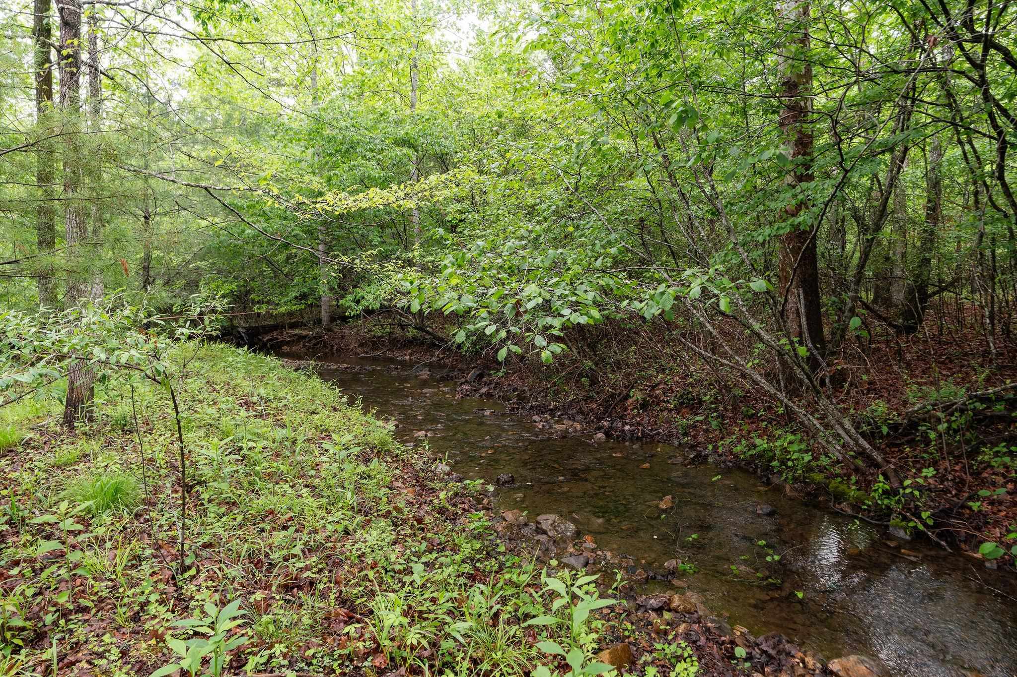 516 ESTALINE VALLEY RD, CRAIGSVILLE, Virginia 24430, 3 Bedrooms Bedrooms, ,2 BathroomsBathrooms,Residential,516 ESTALINE VALLEY RD,677581 MLS # 677581 516 ESTALINE VALLEY RD, CRAIGSVILLE, Virginia 24430, 3 Bedrooms Bedrooms, ,2 BathroomsBathrooms,Residential,516 ESTALINE VALLEY RD,677581 MLS # 677581