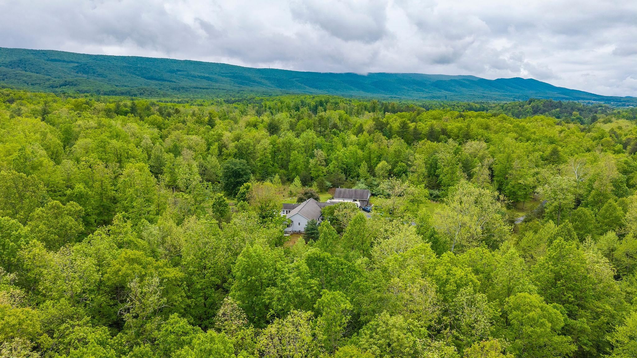 516 ESTALINE VALLEY RD, CRAIGSVILLE, Virginia 24430, 3 Bedrooms Bedrooms, ,2 BathroomsBathrooms,Residential,516 ESTALINE VALLEY RD,677581 MLS # 677581 516 ESTALINE VALLEY RD, CRAIGSVILLE, Virginia 24430, 3 Bedrooms Bedrooms, ,2 BathroomsBathrooms,Residential,516 ESTALINE VALLEY RD,677581 MLS # 677581