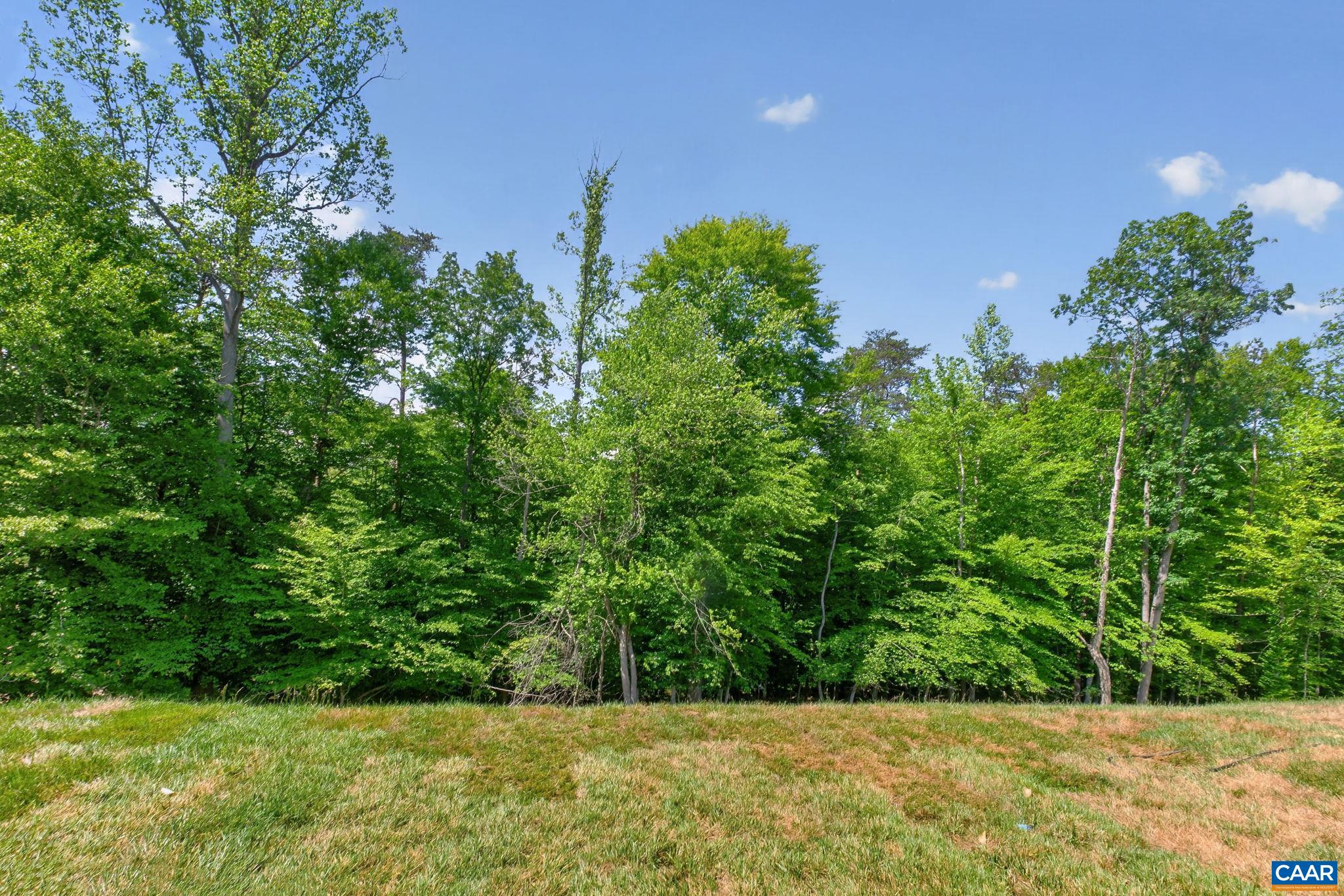 1382 MARCELLA ST, CHARLOTTESVILLE, Virginia 22911, 4 Bedrooms Bedrooms, ,3 BathroomsBathrooms,Residential,The Bayberry, Elevation E - Finished Walkout Basem,1382 MARCELLA ST,677586 MLS # 677586