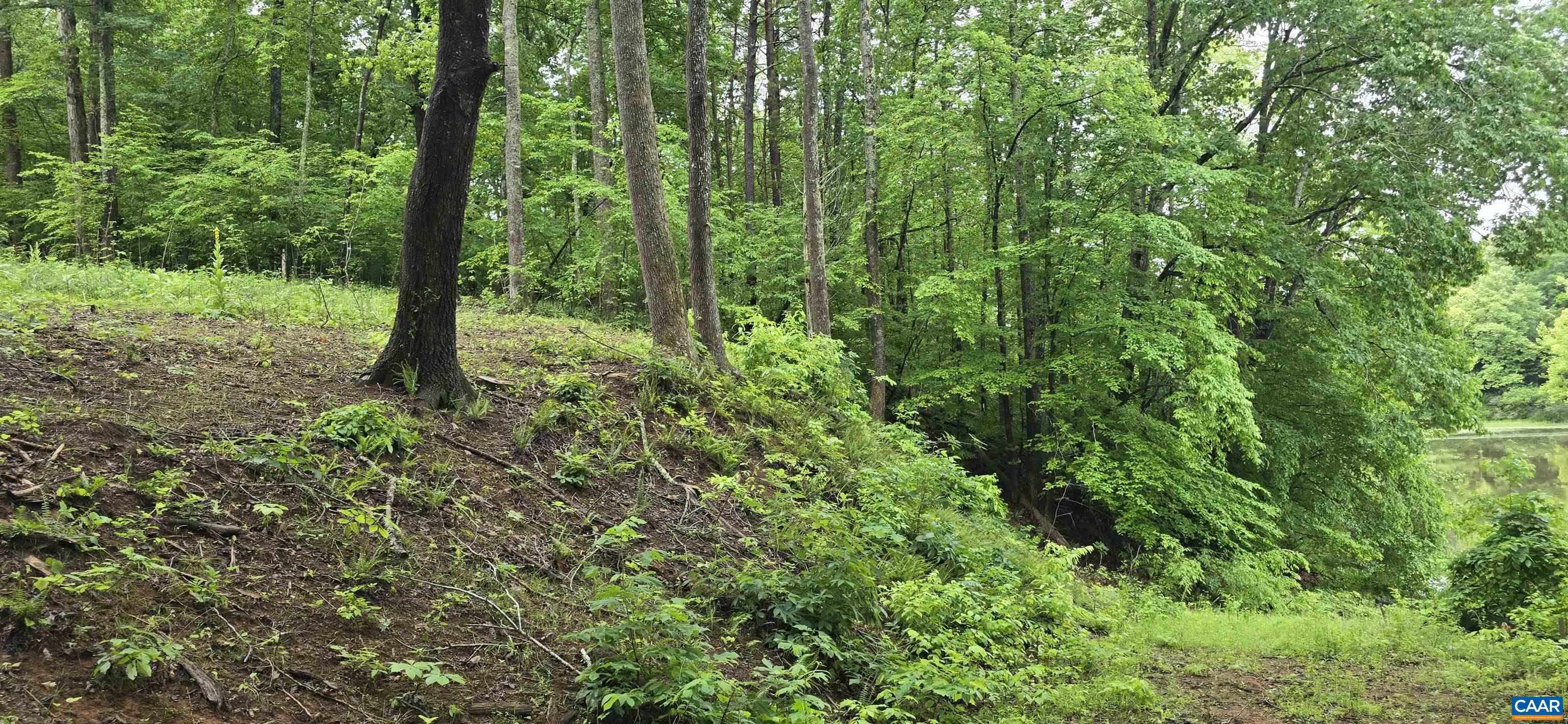 Lot 26 LAKE POINTE CT, PAMPLIN, Virginia 23958, ,Land,Lot 26 LAKE POINTE CT,677606 MLS # 677606