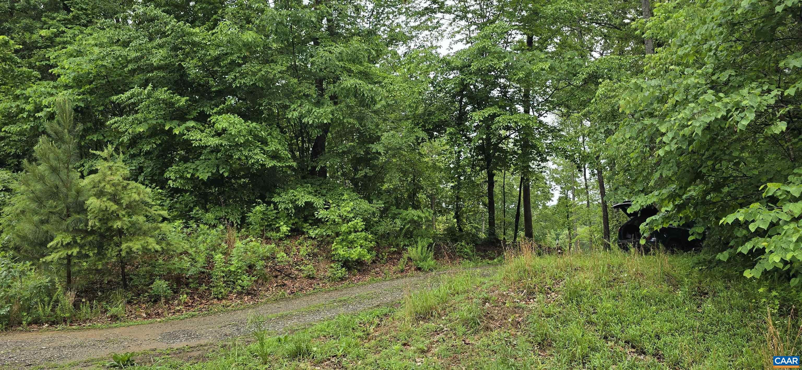 Lot 26 LAKE POINTE CT, PAMPLIN, Virginia 23958, ,Land,Lot 26 LAKE POINTE CT,677606 MLS # 677606