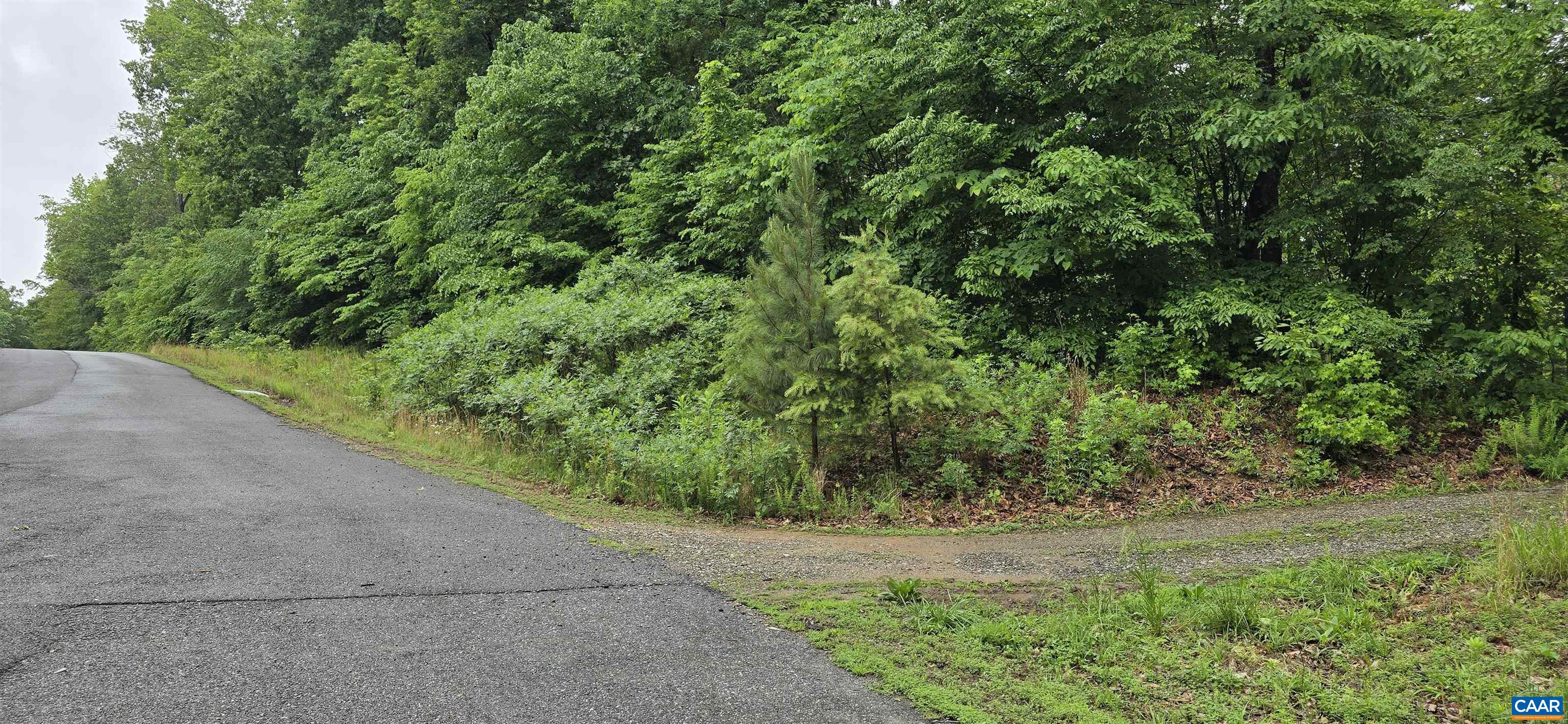 Lot 26 LAKE POINTE CT, PAMPLIN, Virginia 23958, ,Land,Lot 26 LAKE POINTE CT,677606 MLS # 677606