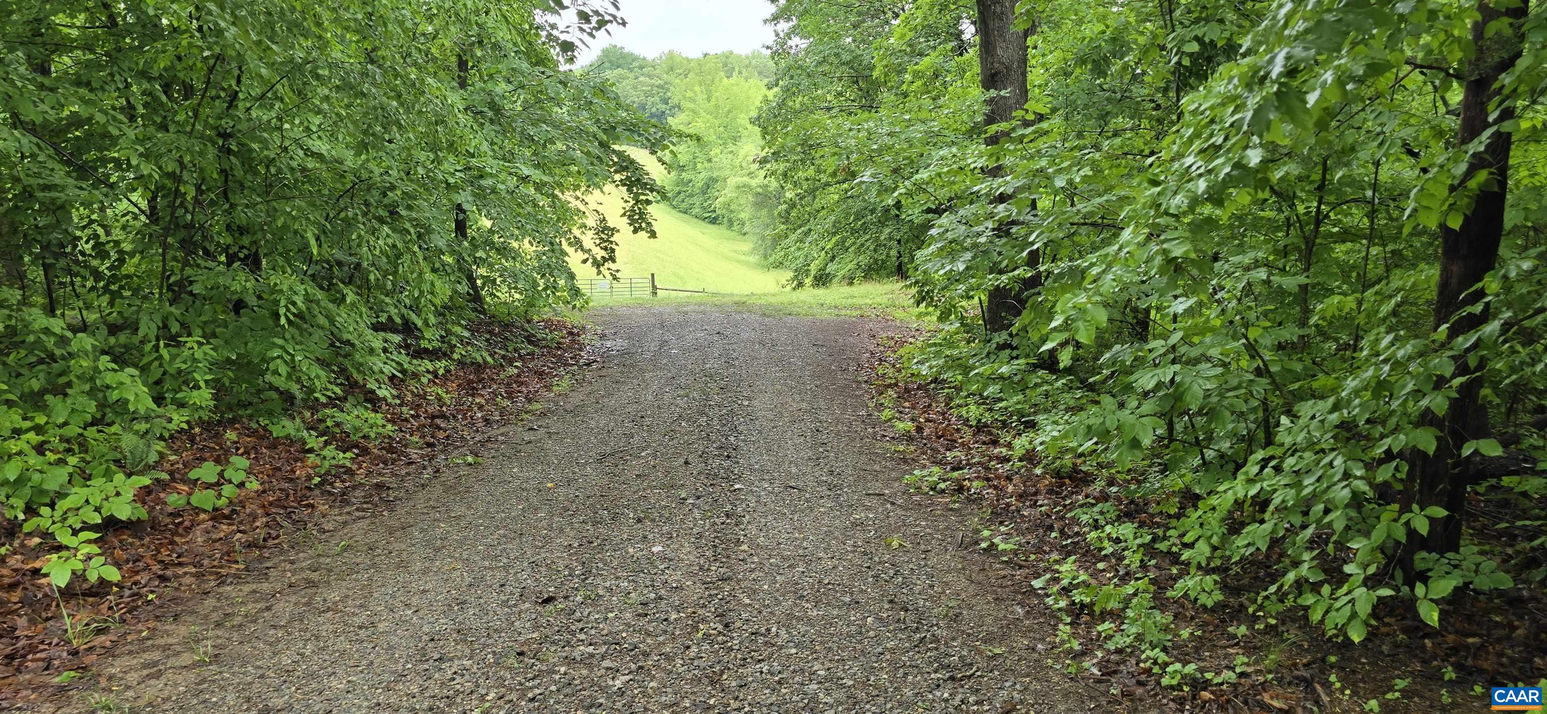 Lot 26 LAKE POINTE CT, PAMPLIN, Virginia 23958, ,Land,Lot 26 LAKE POINTE CT,677606 MLS # 677606