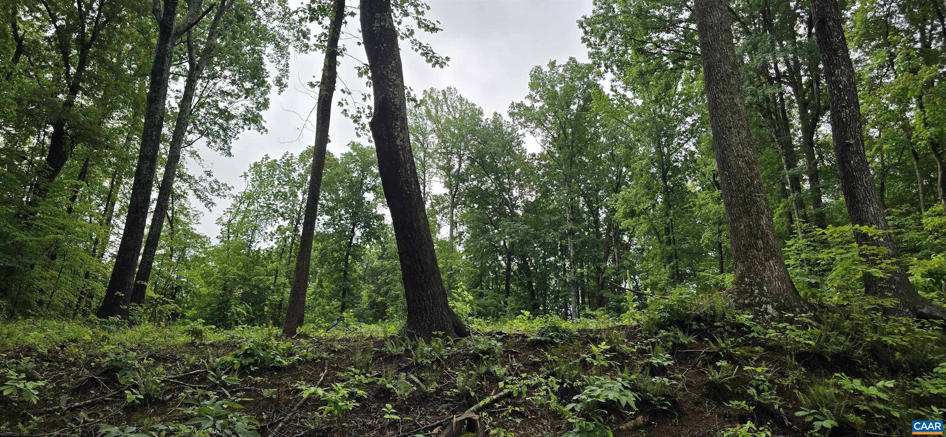 Lot 26 LAKE POINTE CT, PAMPLIN, Virginia 23958, ,Land,Lot 26 LAKE POINTE CT,677606 MLS # 677606
