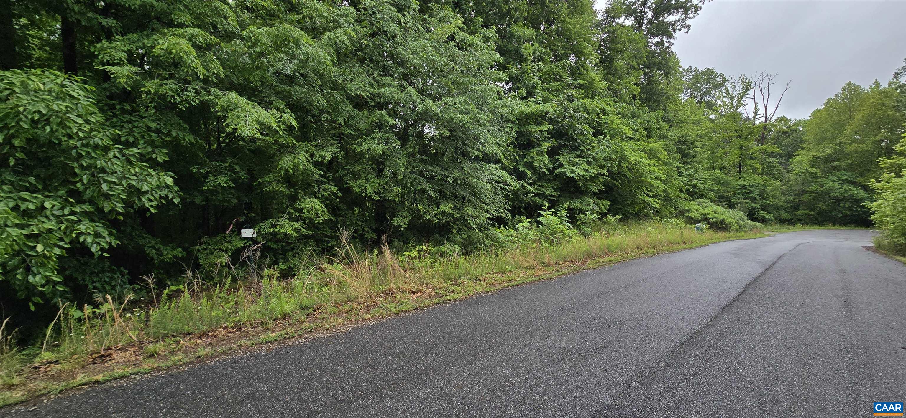 Lot 26 LAKE POINTE CT, PAMPLIN, Virginia 23958, ,Land,Lot 26 LAKE POINTE CT,677606 MLS # 677606