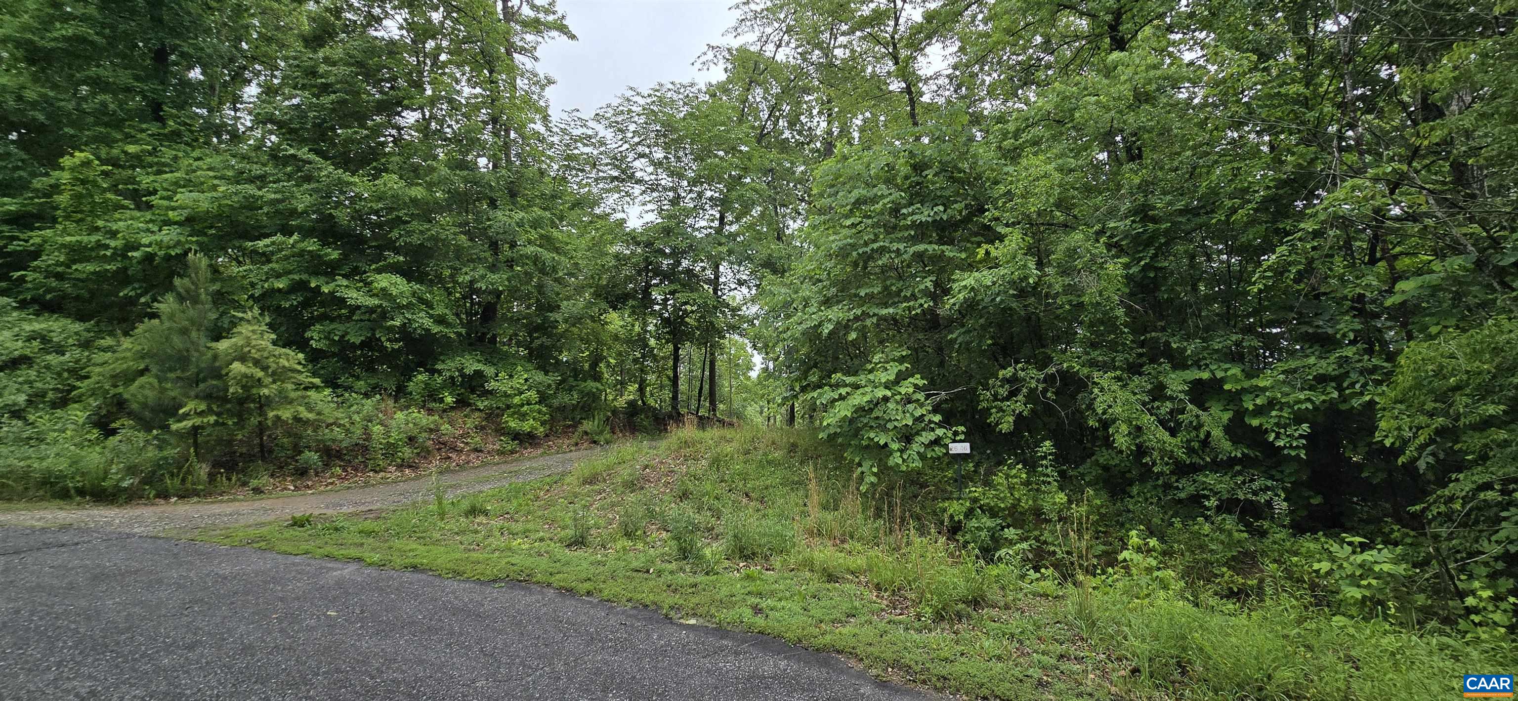 Lot 26 LAKE POINTE CT, PAMPLIN, Virginia 23958, ,Land,Lot 26 LAKE POINTE CT,677606 MLS # 677606