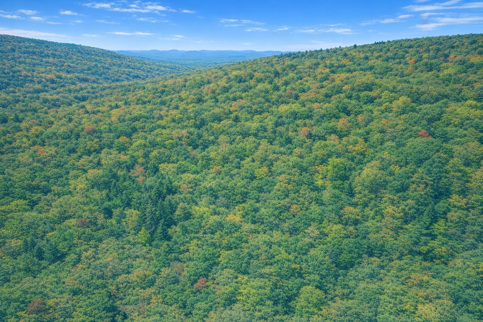 LOT 168 FOREST RIDGE TRL, FORT VALLEY, Virginia 22652, ,Land,LOT 168 FOREST RIDGE TRL,677612 MLS # 677612 LOT 168 FOREST RIDGE TRL, FORT VALLEY, Virginia 22652, ,Land,LOT 168 FOREST RIDGE TRL,677612 MLS # 677612