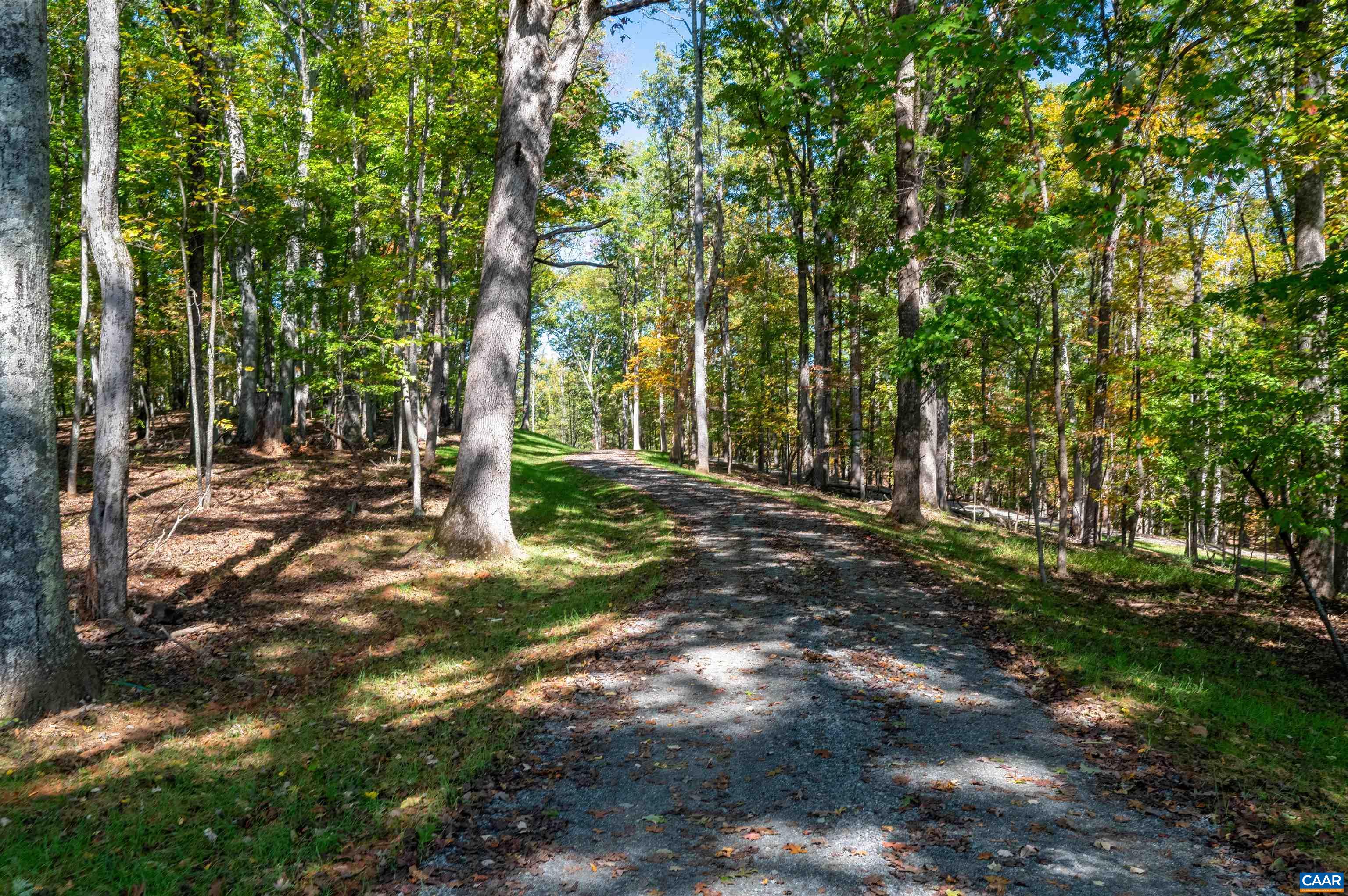 3 DICK WOODS RD, AFTON, Virginia 22903, 3 Bedrooms Bedrooms, ,3 BathroomsBathrooms,Residential,Happy Hollow Lot 3 (8.45 acre site),3 DICK WOODS RD,677592 MLS # 677592 3 DICK WOODS RD, AFTON, Virginia 22903, 3 Bedrooms Bedrooms, ,3 BathroomsBathrooms,Residential,Happy Hollow Lot 3 (8.45 acre site),3 DICK WOODS RD,677592 MLS # 677592