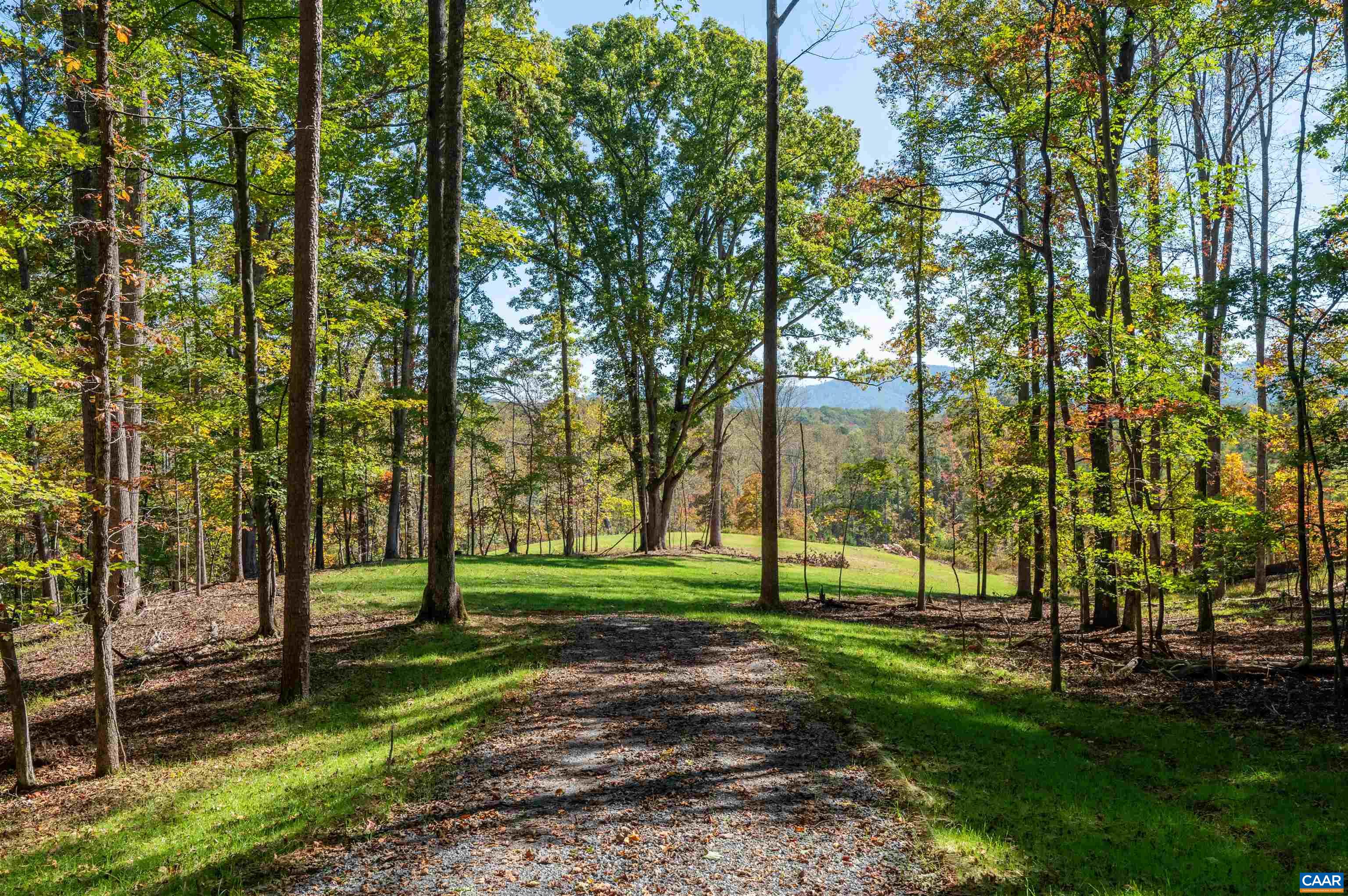 3 DICK WOODS RD, AFTON, Virginia 22903, 3 Bedrooms Bedrooms, ,3 BathroomsBathrooms,Residential,Happy Hollow Lot 3 (8.45 acre site),3 DICK WOODS RD,677592 MLS # 677592 3 DICK WOODS RD, AFTON, Virginia 22903, 3 Bedrooms Bedrooms, ,3 BathroomsBathrooms,Residential,Happy Hollow Lot 3 (8.45 acre site),3 DICK WOODS RD,677592 MLS # 677592
