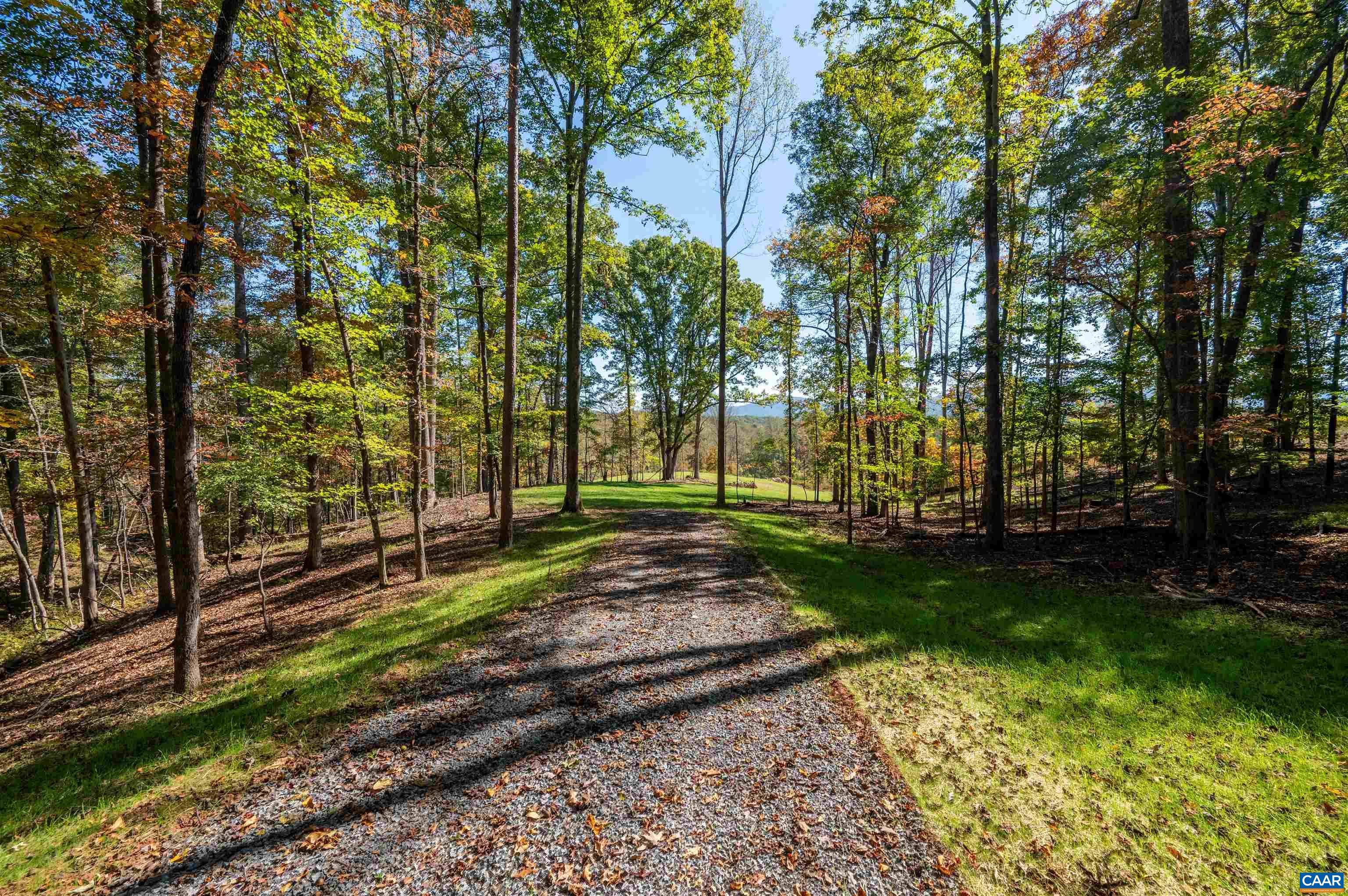 3 DICK WOODS RD, AFTON, Virginia 22903, 3 Bedrooms Bedrooms, ,3 BathroomsBathrooms,Residential,Happy Hollow Lot 3 (8.45 acre site),3 DICK WOODS RD,677592 MLS # 677592 3 DICK WOODS RD, AFTON, Virginia 22903, 3 Bedrooms Bedrooms, ,3 BathroomsBathrooms,Residential,Happy Hollow Lot 3 (8.45 acre site),3 DICK WOODS RD,677592 MLS # 677592