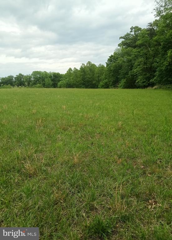 0 JOHN TUCKER, MADISON, Virginia 22727, ,Land,0 JOHN TUCKER,VAMA2002750 MLS # VAMA2002750