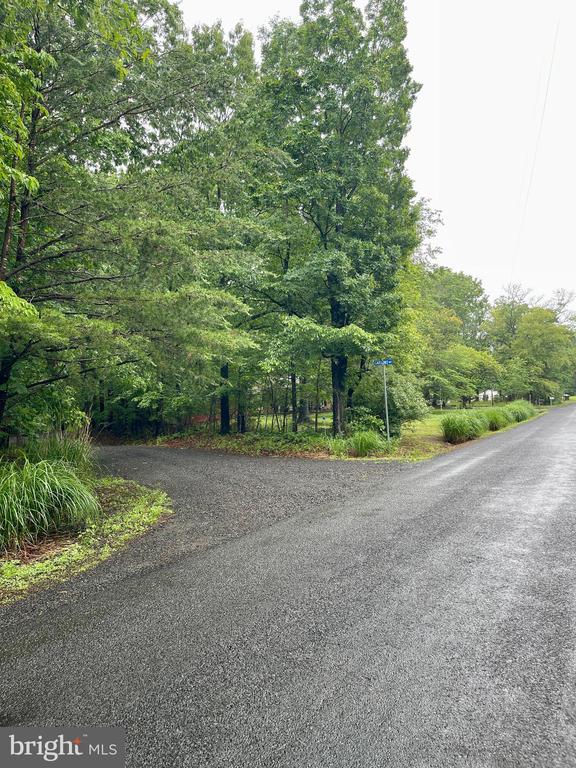 CARSONS WAY, AMISSVILLE, Virginia 20106, ,Land,CARSONS WAY,VACU2013764 MLS # VACU2013764 CARSONS WAY, AMISSVILLE, Virginia 20106, ,Land,CARSONS WAY,VACU2013764 MLS # VACU2013764
