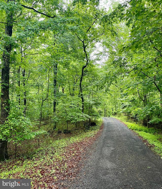 CARSONS WAY, AMISSVILLE, Virginia 20106, ,Land,CARSONS WAY,VACU2013764 MLS # VACU2013764 CARSONS WAY, AMISSVILLE, Virginia 20106, ,Land,CARSONS WAY,VACU2013764 MLS # VACU2013764