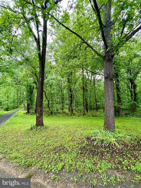 CARSONS WAY, AMISSVILLE, Virginia 20106, ,Land,CARSONS WAY,VACU2013764 MLS # VACU2013764 CARSONS WAY, AMISSVILLE, Virginia 20106, ,Land,CARSONS WAY,VACU2013764 MLS # VACU2013764
