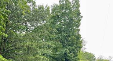 CARSONS WAY, AMISSVILLE, Virginia 20106, ,Land,CARSONS WAY,VACU2013764 MLS # VACU2013764