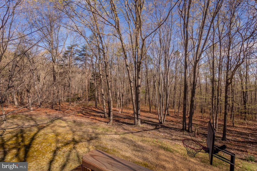 160 GALE LN, STANLEY, Virginia 22851, 2 Bedrooms Bedrooms, ,2 BathroomsBathrooms,Residential,160 GALE LN,VAPA2006282 MLS # VAPA2006282 160 GALE LN, STANLEY, Virginia 22851, 2 Bedrooms Bedrooms, ,2 BathroomsBathrooms,Residential,160 GALE LN,VAPA2006282 MLS # VAPA2006282