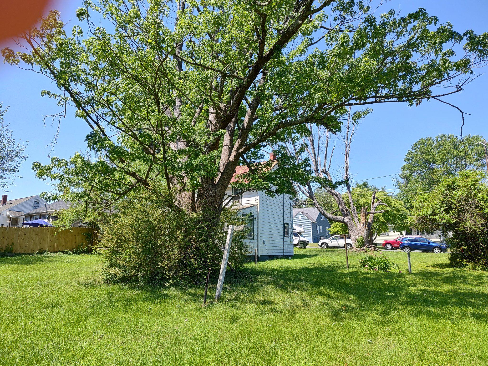1133 JACKSON ST, CULPEPER, Virginia 22701, 2 Bedrooms Bedrooms, ,1 BathroomBathrooms,Residential,1133 JACKSON ST,VACU2013726 MLS # VACU2013726 1133 JACKSON ST, CULPEPER, Virginia 22701, 2 Bedrooms Bedrooms, ,1 BathroomBathrooms,Residential,1133 JACKSON ST,VACU2013726 MLS # VACU2013726