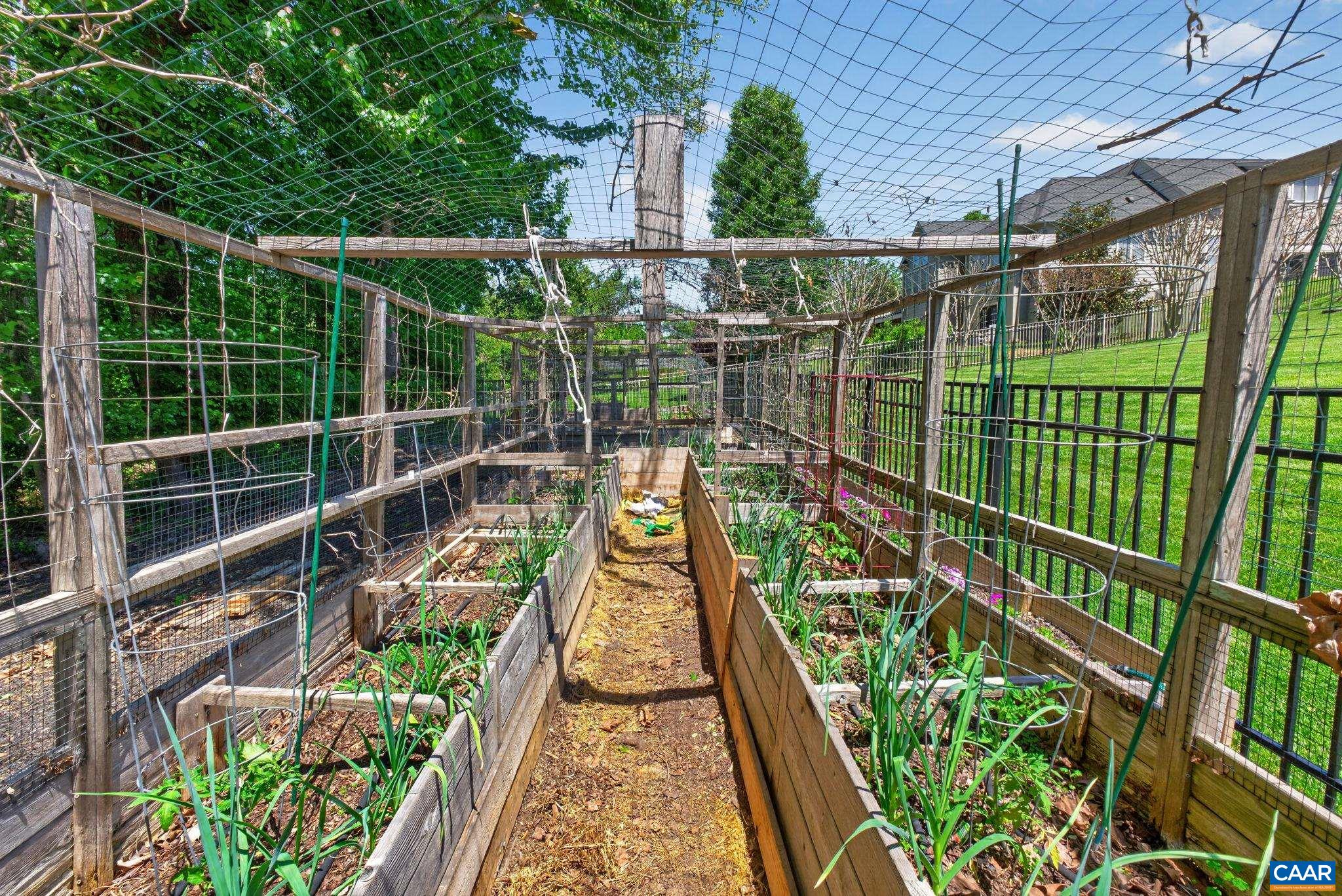 Completely surrounded with protective fencing! Completely surrounded with protective fencing!