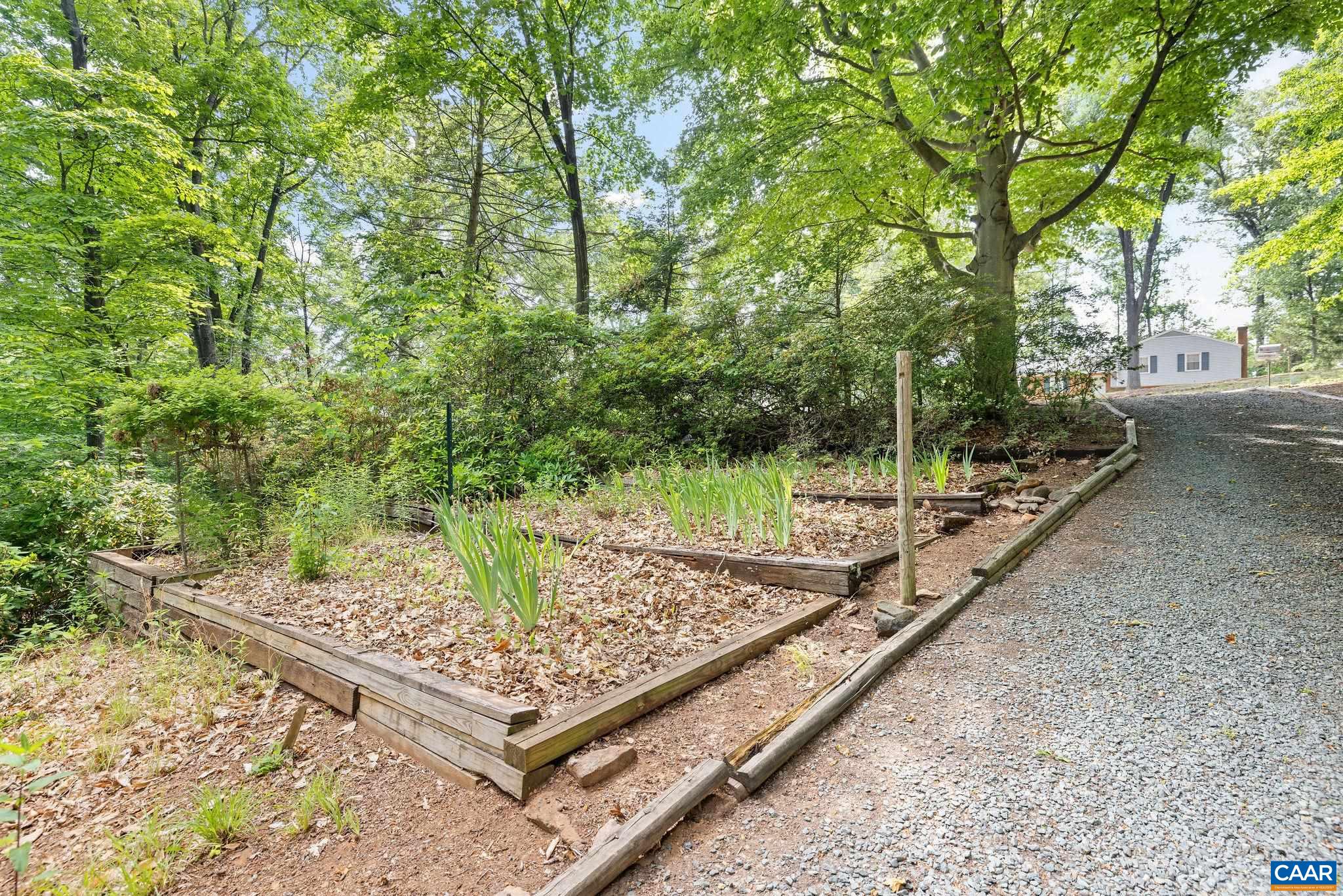 2514 HILLWOOD PL, CHARLOTTESVILLE, Virginia 22901, 4 Bedrooms Bedrooms, ,2 BathroomsBathrooms,Residential,2514 HILLWOOD PL,677542 MLS # 677542 2514 HILLWOOD PL, CHARLOTTESVILLE, Virginia 22901, 4 Bedrooms Bedrooms, ,2 BathroomsBathrooms,Residential,2514 HILLWOOD PL,677542 MLS # 677542