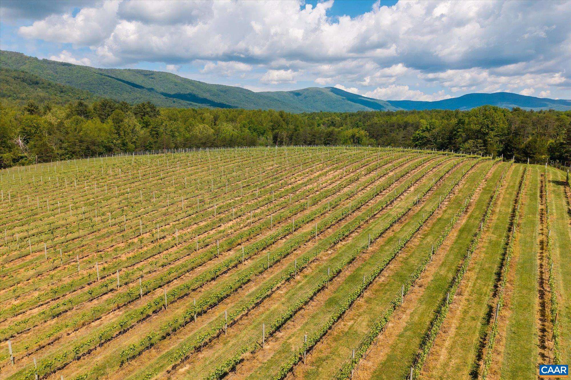 5150 BREAK HEART RD, CROZET, Virginia 22932, 4 Bedrooms Bedrooms, ,1 BathroomBathrooms,Residential,WHITE HALL ESTATE - BACK FARM,5150 BREAK HEART RD,677617 MLS # 677617 5150 BREAK HEART RD, CROZET, Virginia 22932, 4 Bedrooms Bedrooms, ,1 BathroomBathrooms,Residential,WHITE HALL ESTATE - BACK FARM,5150 BREAK HEART RD,677617 MLS # 677617