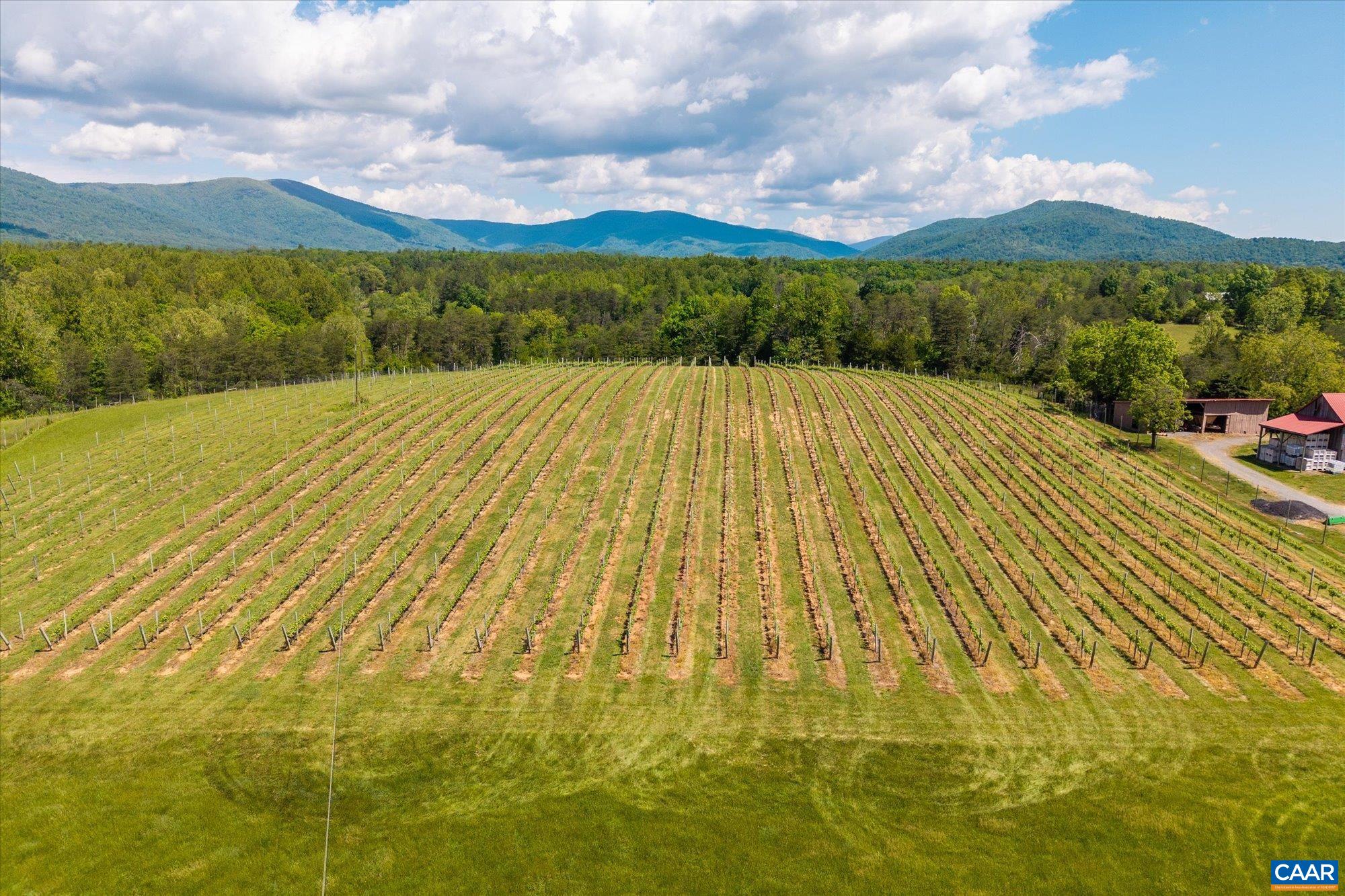 5150 BREAK HEART RD, CROZET, Virginia 22932, 4 Bedrooms Bedrooms, ,1 BathroomBathrooms,Residential,WHITE HALL ESTATE - BACK FARM,5150 BREAK HEART RD,677617 MLS # 677617 5150 BREAK HEART RD, CROZET, Virginia 22932, 4 Bedrooms Bedrooms, ,1 BathroomBathrooms,Residential,WHITE HALL ESTATE - BACK FARM,5150 BREAK HEART RD,677617 MLS # 677617