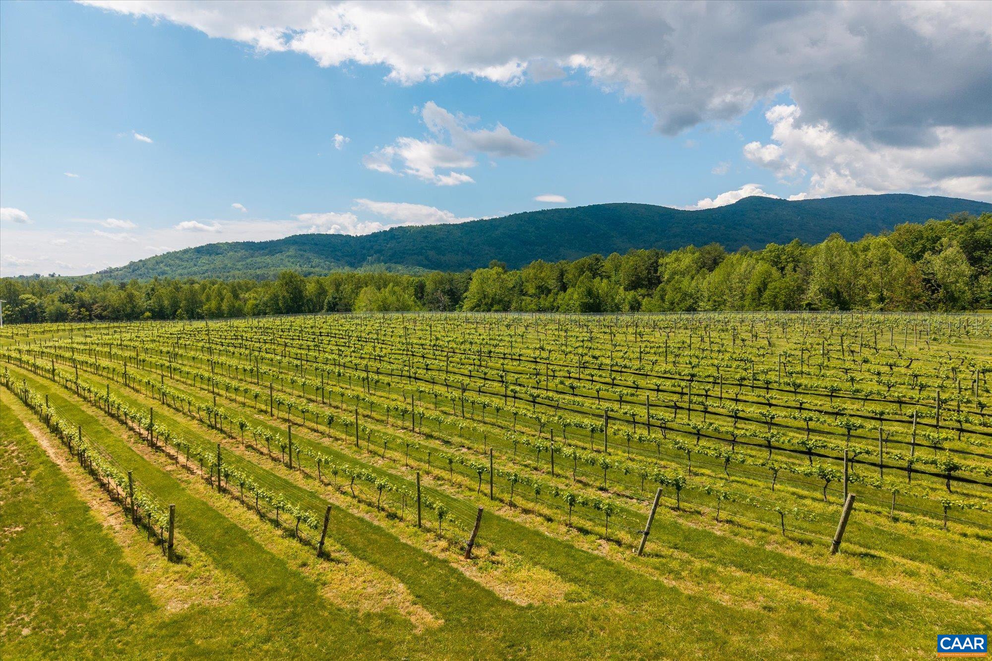 5150 BREAK HEART RD, CROZET, Virginia 22932, 4 Bedrooms Bedrooms, ,1 BathroomBathrooms,Residential,WHITE HALL ESTATE - BACK FARM,5150 BREAK HEART RD,677617 MLS # 677617 5150 BREAK HEART RD, CROZET, Virginia 22932, 4 Bedrooms Bedrooms, ,1 BathroomBathrooms,Residential,WHITE HALL ESTATE - BACK FARM,5150 BREAK HEART RD,677617 MLS # 677617