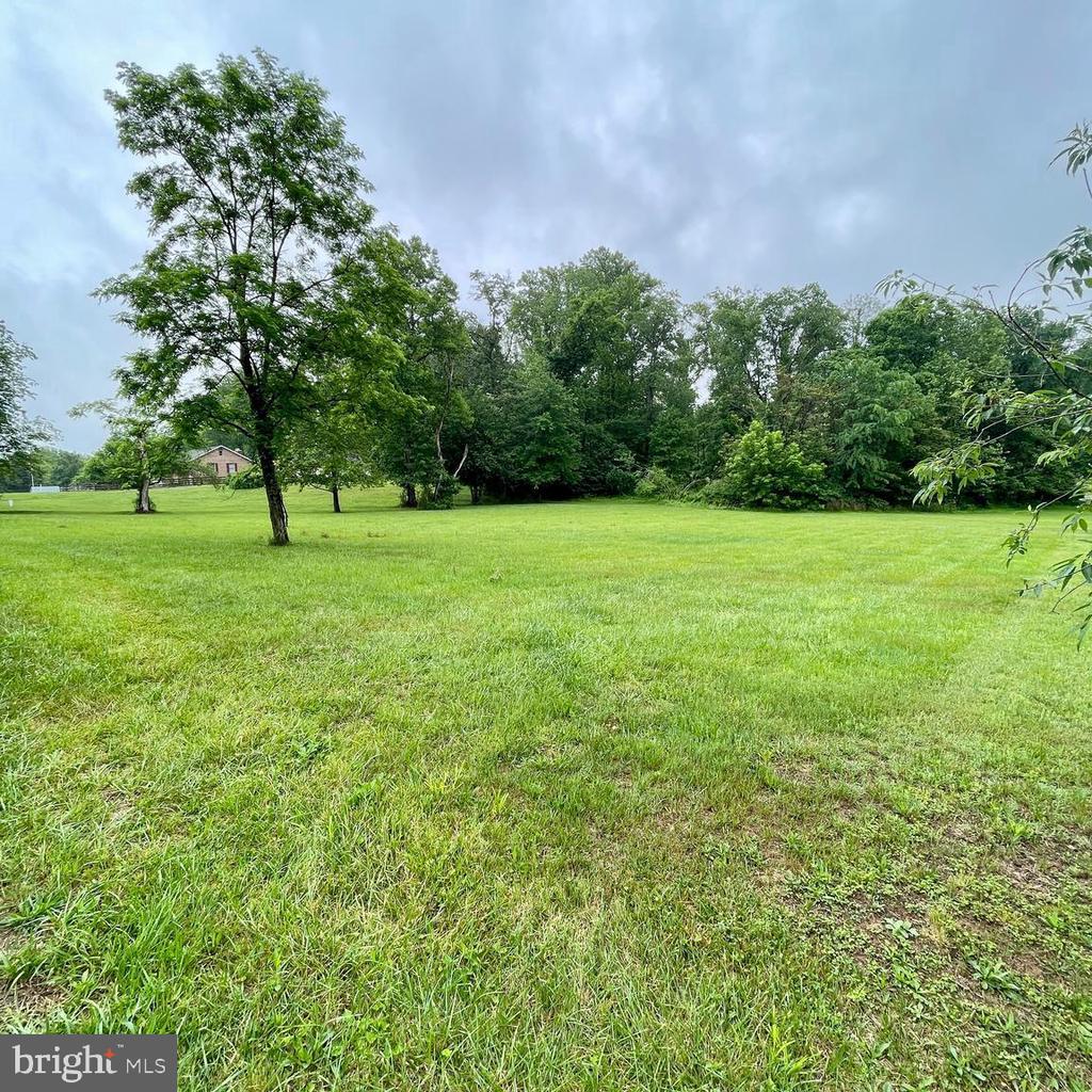 WATERLOO, AMISSVILLE, Virginia 20106, ,Land,WATERLOO,VACU2013766 MLS # VACU2013766