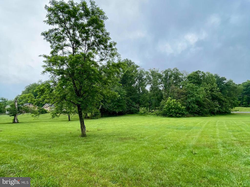 WATERLOO, AMISSVILLE, Virginia 20106, ,Land,WATERLOO,VACU2013766 MLS # VACU2013766