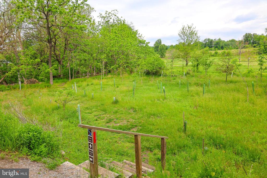 49 WATER ST, SPERRYVILLE, Virginia 22740, 3 Bedrooms Bedrooms, ,2 BathroomsBathrooms,Residential,49 WATER ST,VARP2002652 MLS # VARP2002652 49 WATER ST, SPERRYVILLE, Virginia 22740, 3 Bedrooms Bedrooms, ,2 BathroomsBathrooms,Residential,49 WATER ST,VARP2002652 MLS # VARP2002652