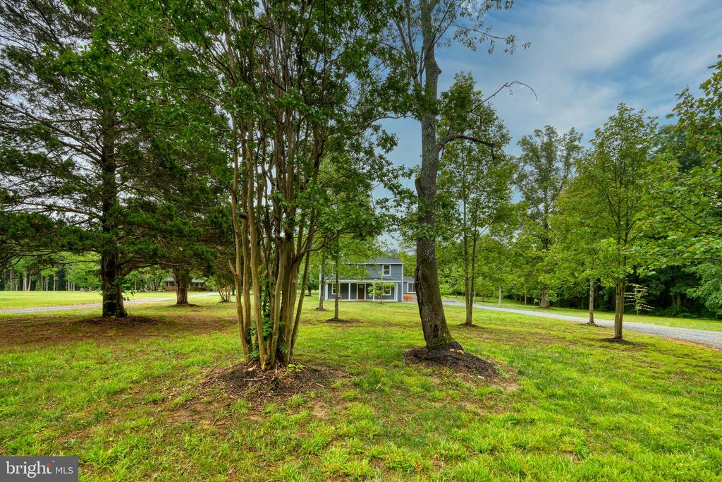 1142 ZACHARY TAYLOR HWY, MINERAL, Virginia 23117, 5 Bedrooms Bedrooms, ,4 BathroomsBathrooms,Residential,1142 ZACHARY TAYLOR HWY,VALA2009860 MLS # VALA2009860 1142 ZACHARY TAYLOR HWY, MINERAL, Virginia 23117, 5 Bedrooms Bedrooms, ,4 BathroomsBathrooms,Residential,1142 ZACHARY TAYLOR HWY,VALA2009860 MLS # VALA2009860