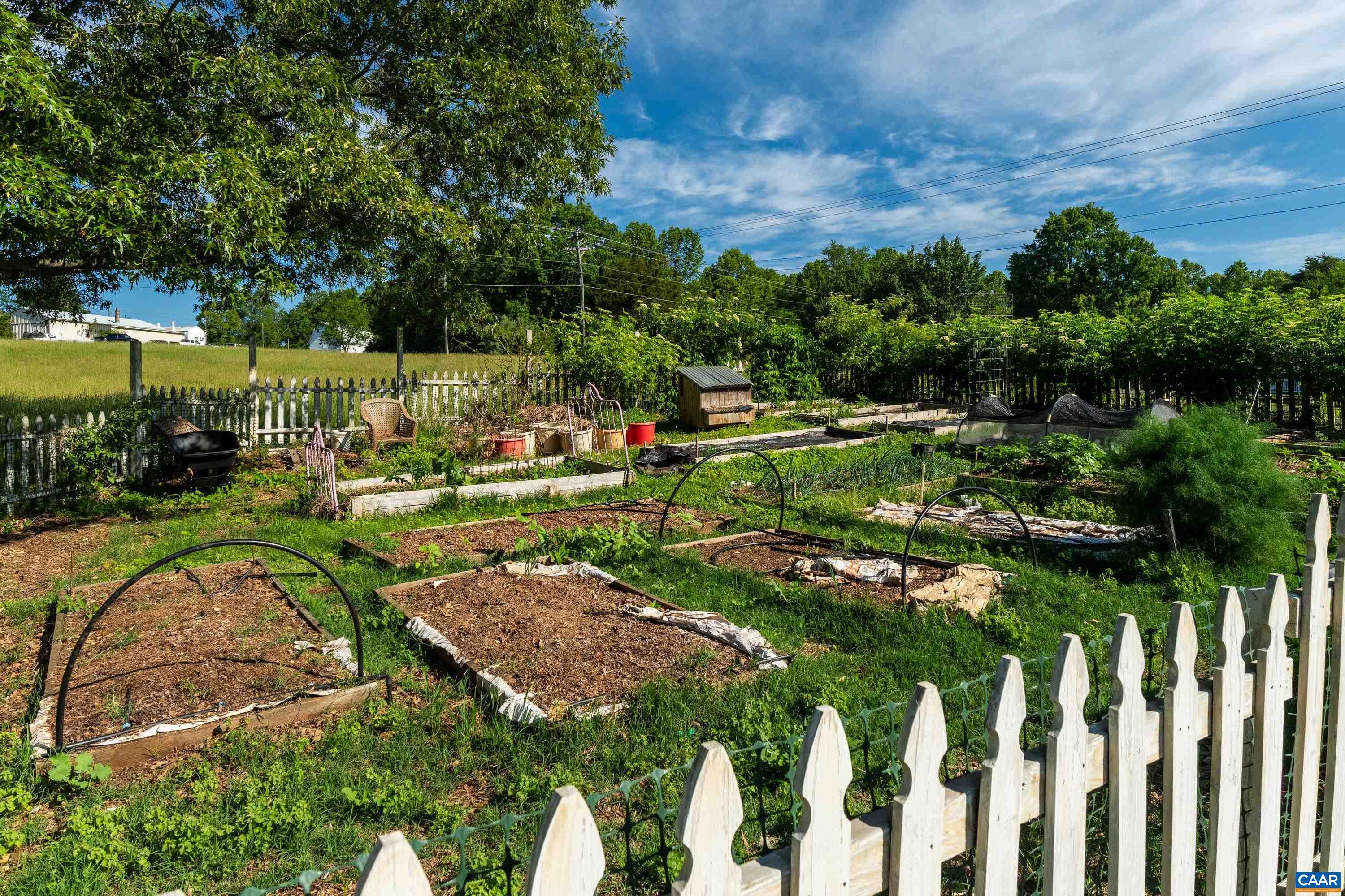 Established garden area with prepared raised beds, surrounded by mature elderberry. Established garden area with prepared raised beds, surrounded by mature elderberry.