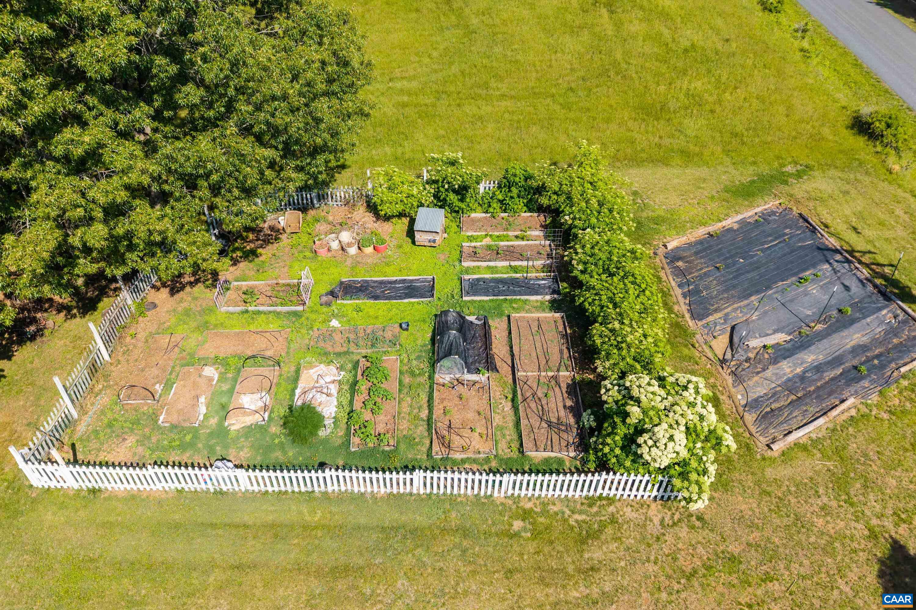 Productive garden beds and homestead infrastructure already in place. Productive garden beds and homestead infrastructure already in place.