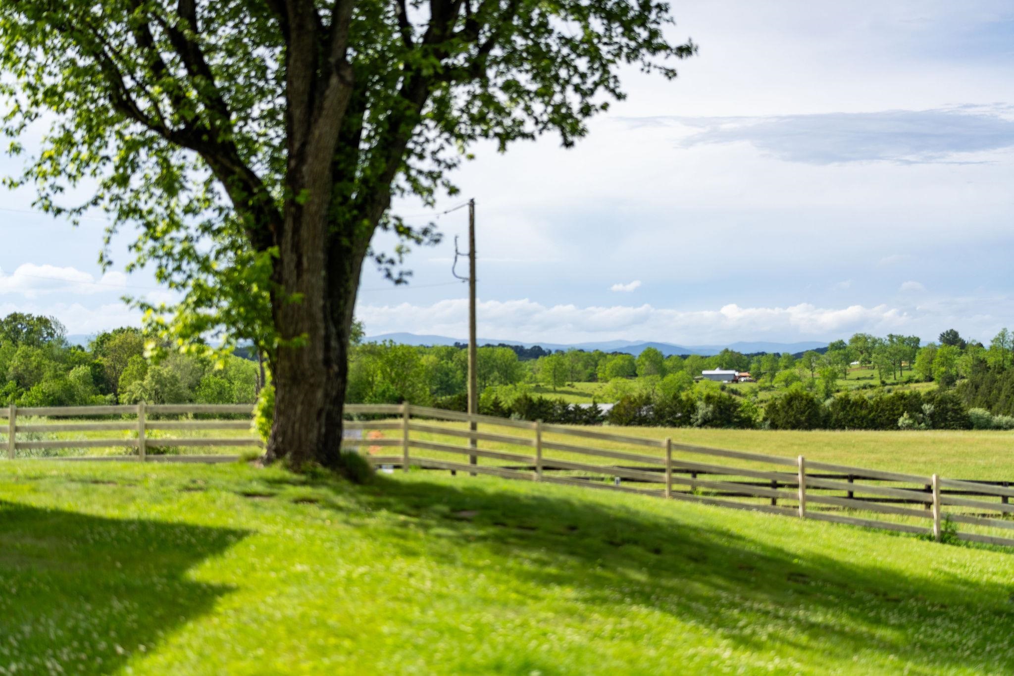 440 GALENA RD, STAUNTON, Virginia 24401, 4 Bedrooms Bedrooms, ,2 BathroomsBathrooms,Residential,440 GALENA RD,677693 MLS # 677693 440 GALENA RD, STAUNTON, Virginia 24401, 4 Bedrooms Bedrooms, ,2 BathroomsBathrooms,Residential,440 GALENA RD,677693 MLS # 677693