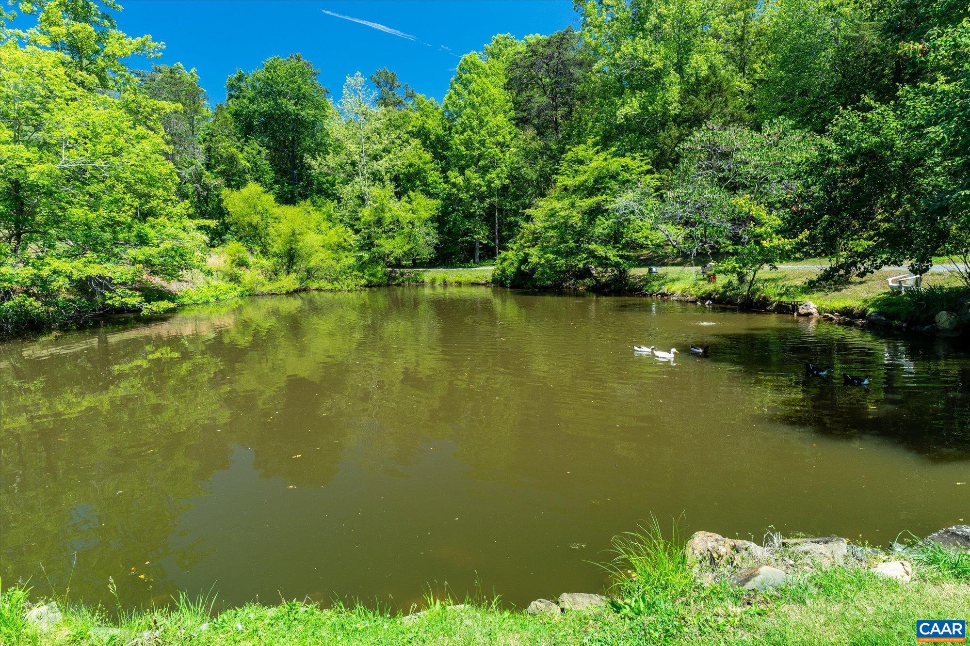 4209 HAWKINS LN, BARBOURSVILLE, Virginia 22923, 4 Bedrooms Bedrooms, ,3 BathroomsBathrooms,Residential,4209 HAWKINS LN,677702 MLS # 677702 4209 HAWKINS LN, BARBOURSVILLE, Virginia 22923, 4 Bedrooms Bedrooms, ,3 BathroomsBathrooms,Residential,4209 HAWKINS LN,677702 MLS # 677702