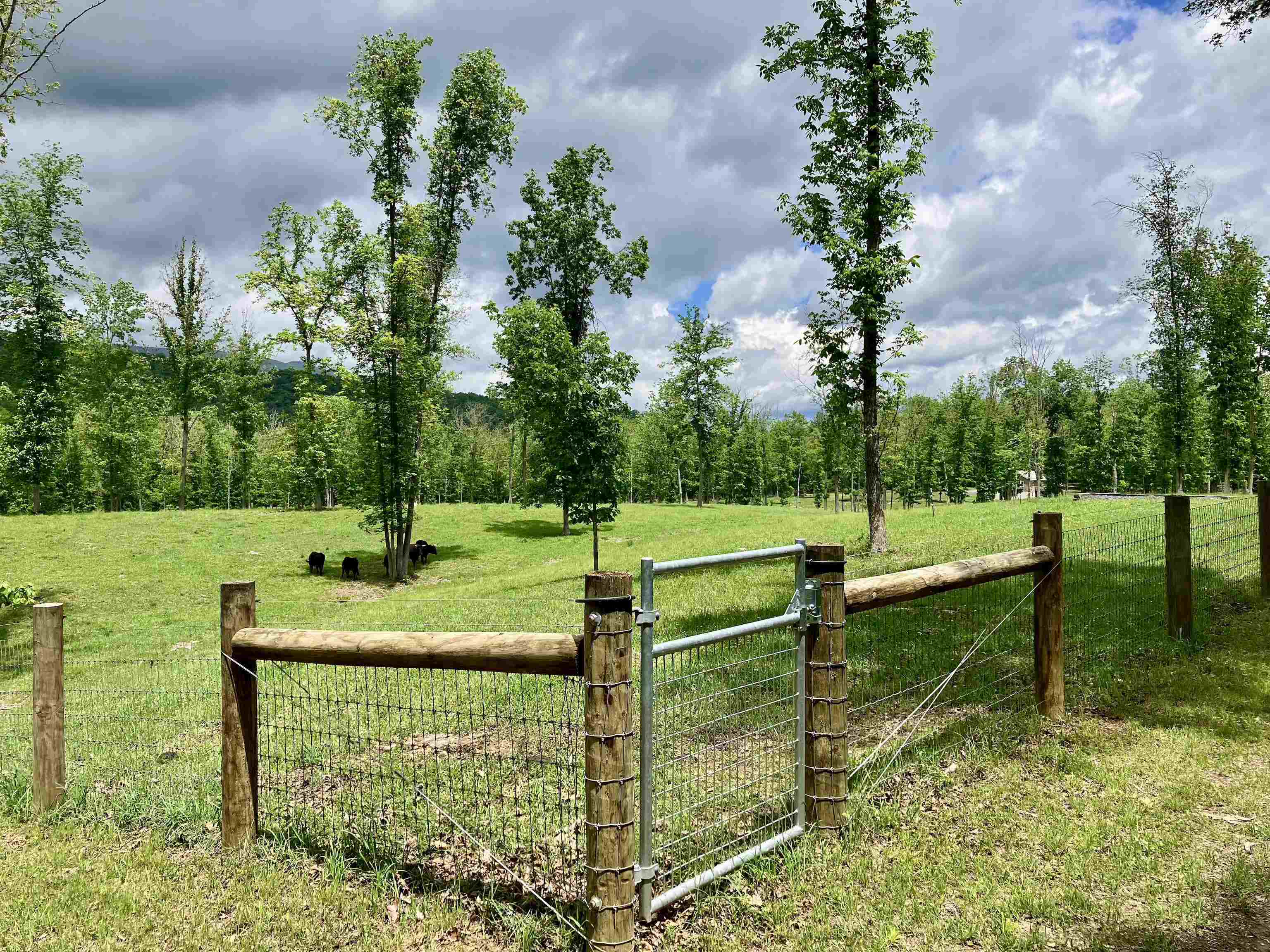 594 ESTALINE VALLEY RD, CRAIGSVILLE, Virginia 24430, 3 Bedrooms Bedrooms, ,2 BathroomsBathrooms,Residential,594 ESTALINE VALLEY RD,677707 MLS # 677707 594 ESTALINE VALLEY RD, CRAIGSVILLE, Virginia 24430, 3 Bedrooms Bedrooms, ,2 BathroomsBathrooms,Residential,594 ESTALINE VALLEY RD,677707 MLS # 677707