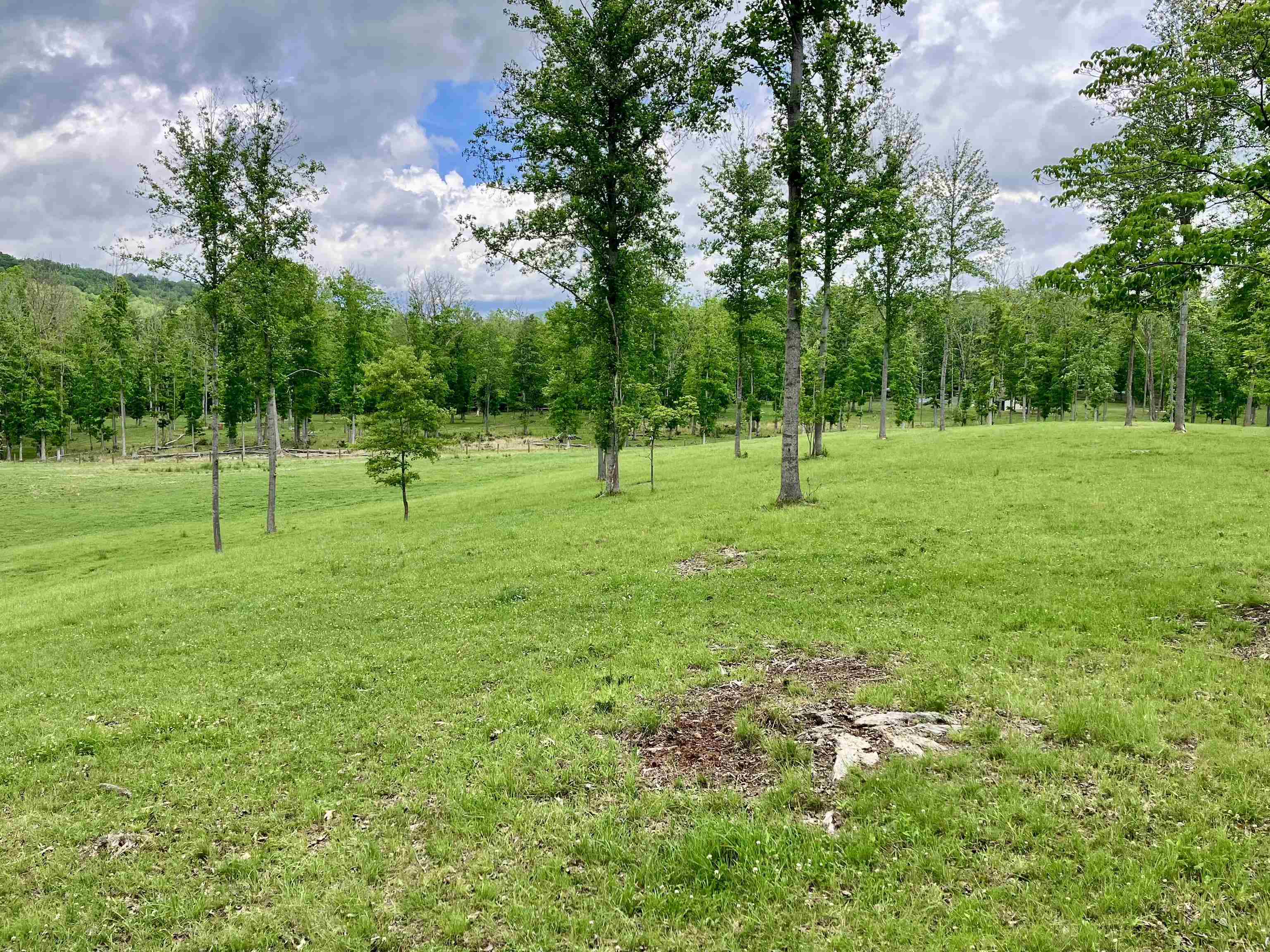 594 ESTALINE VALLEY RD, CRAIGSVILLE, Virginia 24430, 3 Bedrooms Bedrooms, ,2 BathroomsBathrooms,Residential,594 ESTALINE VALLEY RD,677707 MLS # 677707 594 ESTALINE VALLEY RD, CRAIGSVILLE, Virginia 24430, 3 Bedrooms Bedrooms, ,2 BathroomsBathrooms,Residential,594 ESTALINE VALLEY RD,677707 MLS # 677707