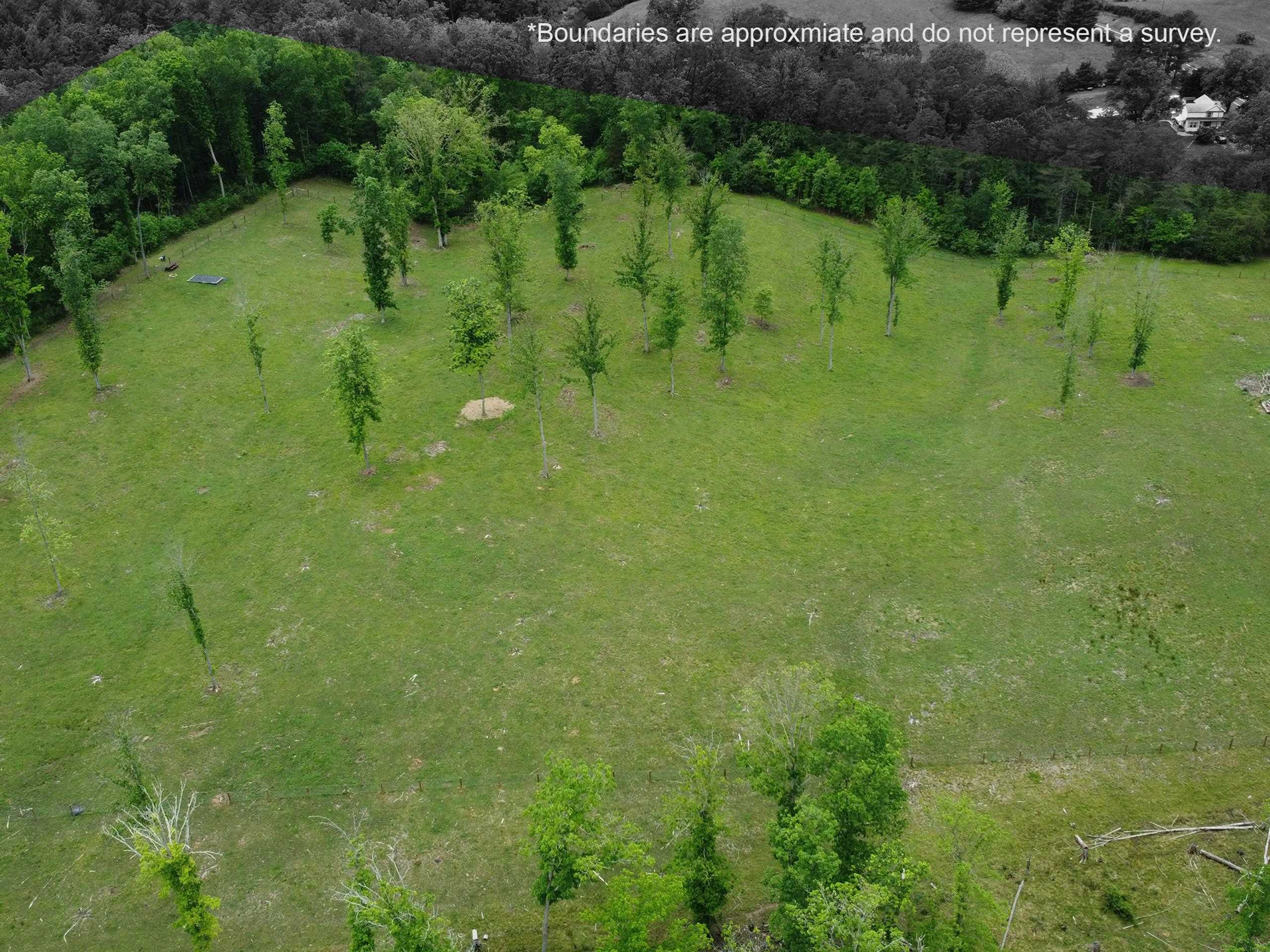594 ESTALINE VALLEY RD, CRAIGSVILLE, Virginia 24430, 3 Bedrooms Bedrooms, ,2 BathroomsBathrooms,Residential,594 ESTALINE VALLEY RD,677707 MLS # 677707 594 ESTALINE VALLEY RD, CRAIGSVILLE, Virginia 24430, 3 Bedrooms Bedrooms, ,2 BathroomsBathrooms,Residential,594 ESTALINE VALLEY RD,677707 MLS # 677707