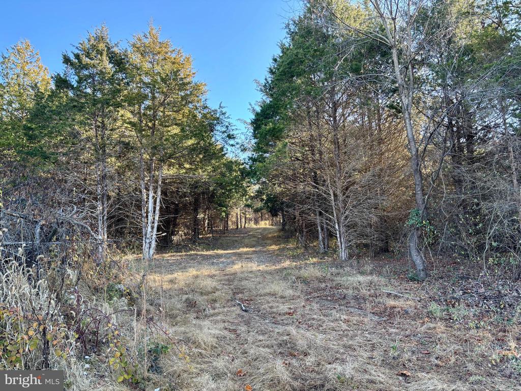 HARPER VALLEY LOT 9A SITE 2, LURAY, Virginia 22835, ,Land,HARPER VALLEY LOT 9A SITE 2,VAPA2006496 MLS # VAPA2006496 HARPER VALLEY LOT 9A SITE 2, LURAY, Virginia 22835, ,Land,HARPER VALLEY LOT 9A SITE 2,VAPA2006496 MLS # VAPA2006496
