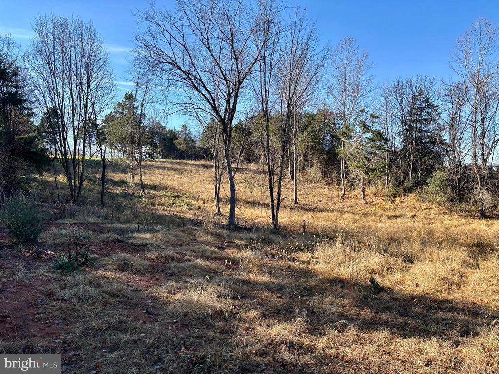 HARPER VALLEY LOT 9A SITE 2, LURAY, Virginia 22835, ,Land,HARPER VALLEY LOT 9A SITE 2,VAPA2006496 MLS # VAPA2006496 HARPER VALLEY LOT 9A SITE 2, LURAY, Virginia 22835, ,Land,HARPER VALLEY LOT 9A SITE 2,VAPA2006496 MLS # VAPA2006496