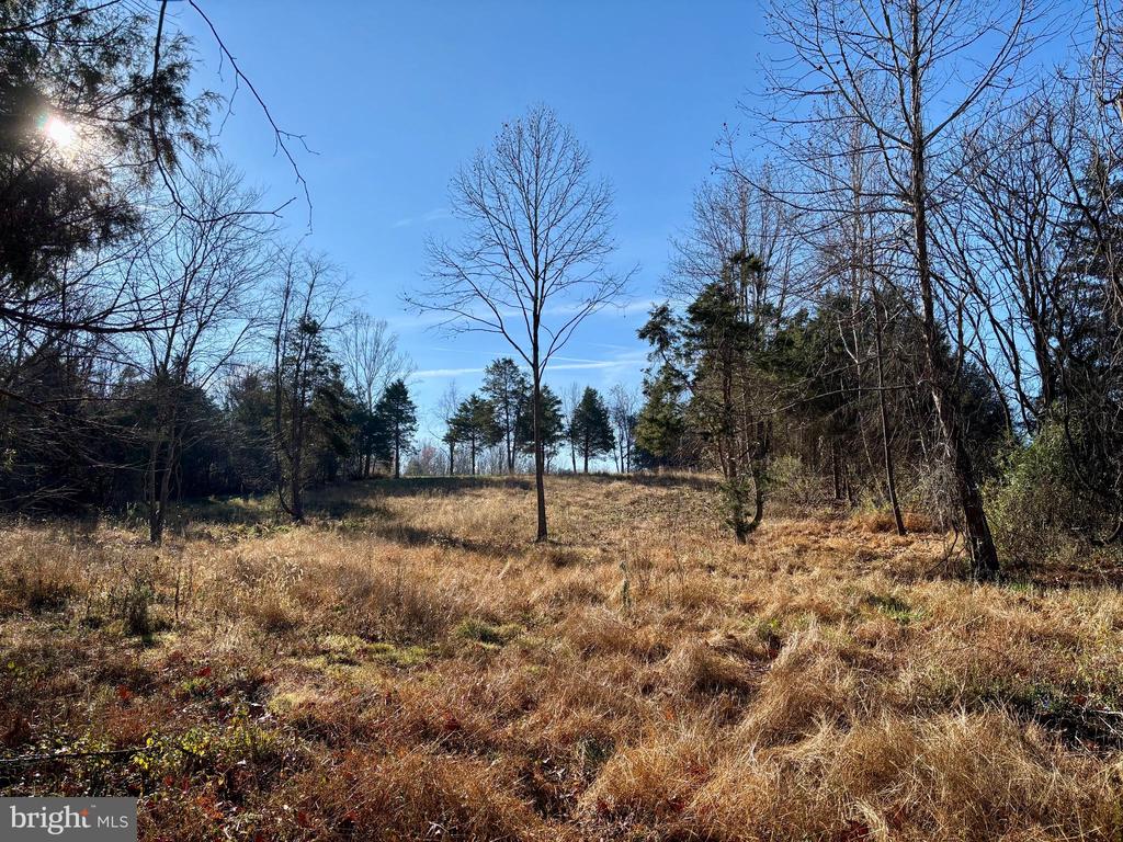 HARPER VALLEY LOT 9A SITE 2, LURAY, Virginia 22835, ,Land,HARPER VALLEY LOT 9A SITE 2,VAPA2006496 MLS # VAPA2006496 HARPER VALLEY LOT 9A SITE 2, LURAY, Virginia 22835, ,Land,HARPER VALLEY LOT 9A SITE 2,VAPA2006496 MLS # VAPA2006496
