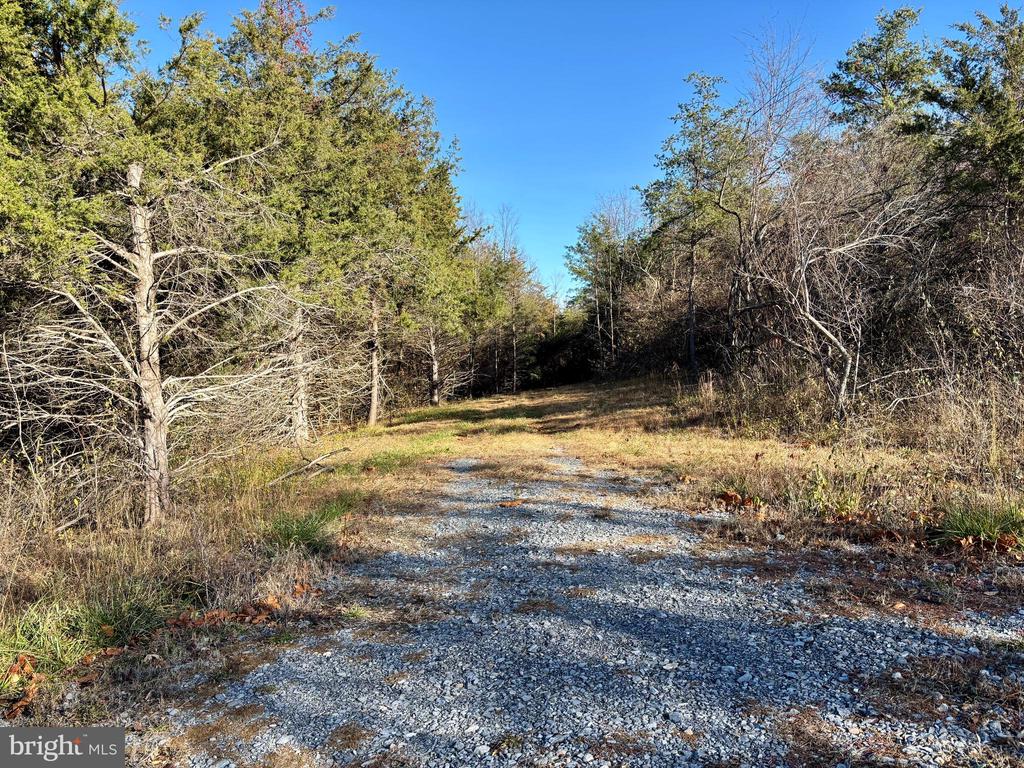 HARPER VALLEY LOT 9A SITE 2, LURAY, Virginia 22835, ,Land,HARPER VALLEY LOT 9A SITE 2,VAPA2006496 MLS # VAPA2006496 HARPER VALLEY LOT 9A SITE 2, LURAY, Virginia 22835, ,Land,HARPER VALLEY LOT 9A SITE 2,VAPA2006496 MLS # VAPA2006496